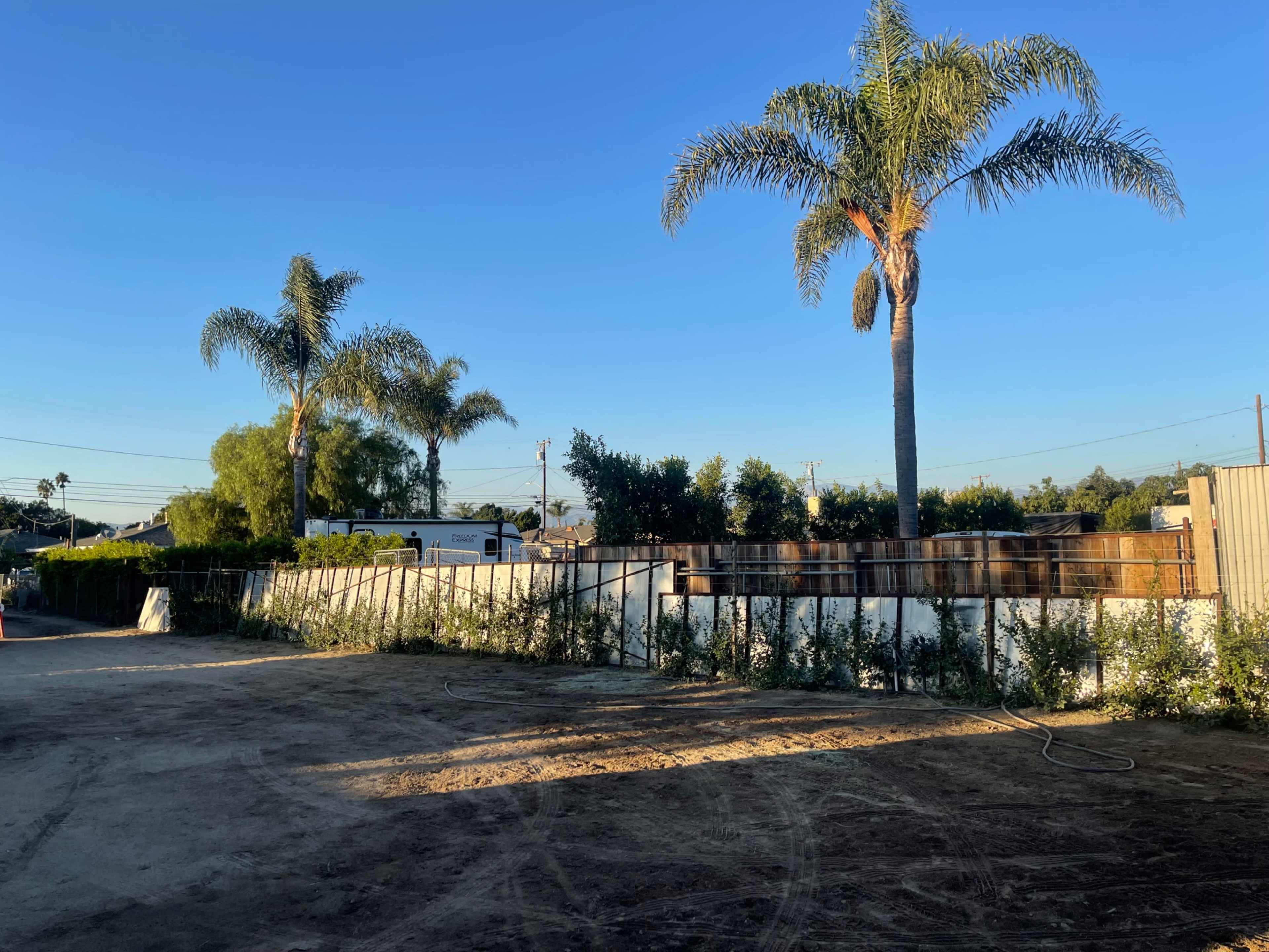 A cleared, sandy lot with palm trees and a fenced area in the background under a clear blue sky.