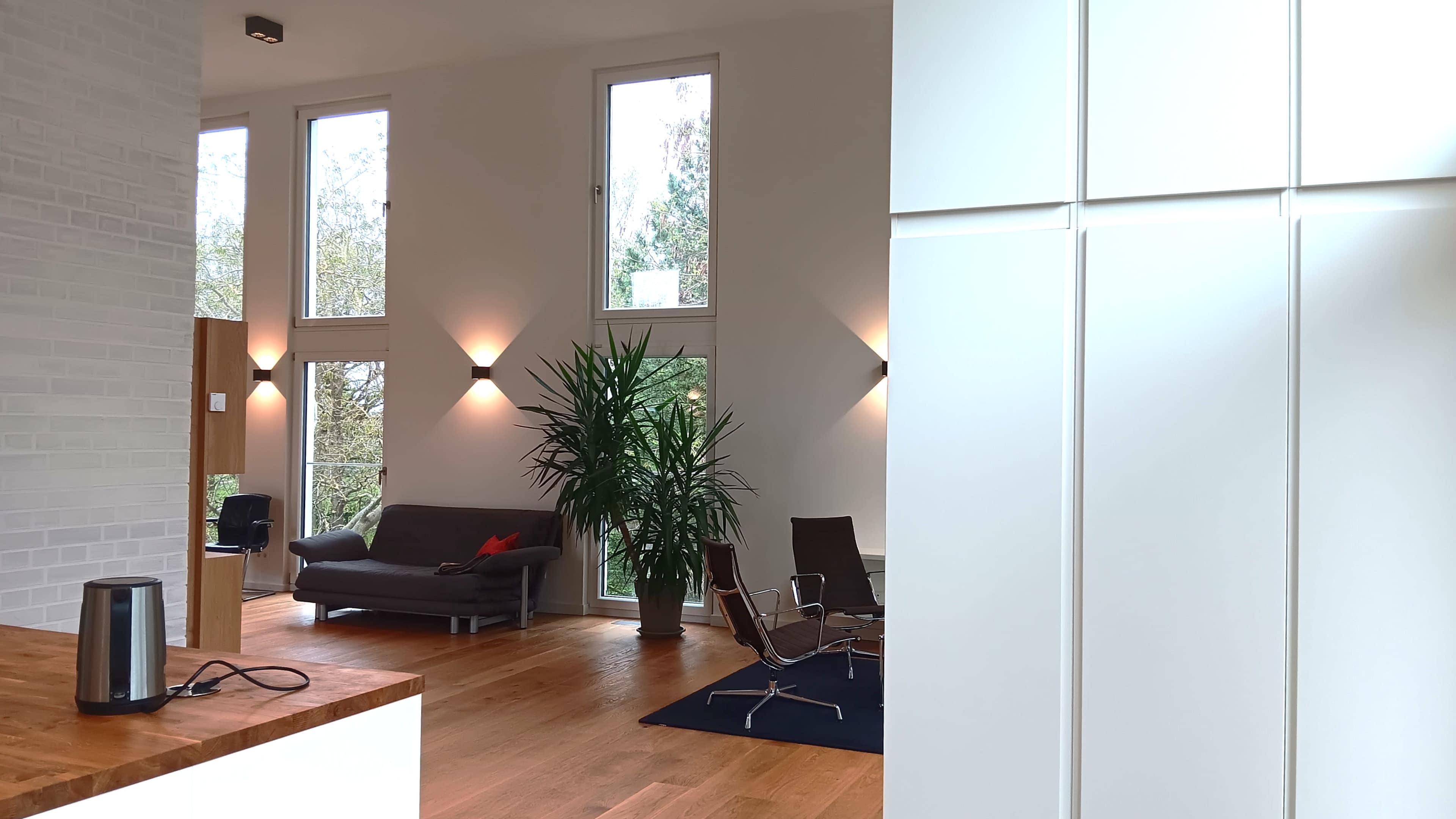 A modern, open living space featuring a couch, chairs, a large plant, and multiple windows that allow natural light to enter.