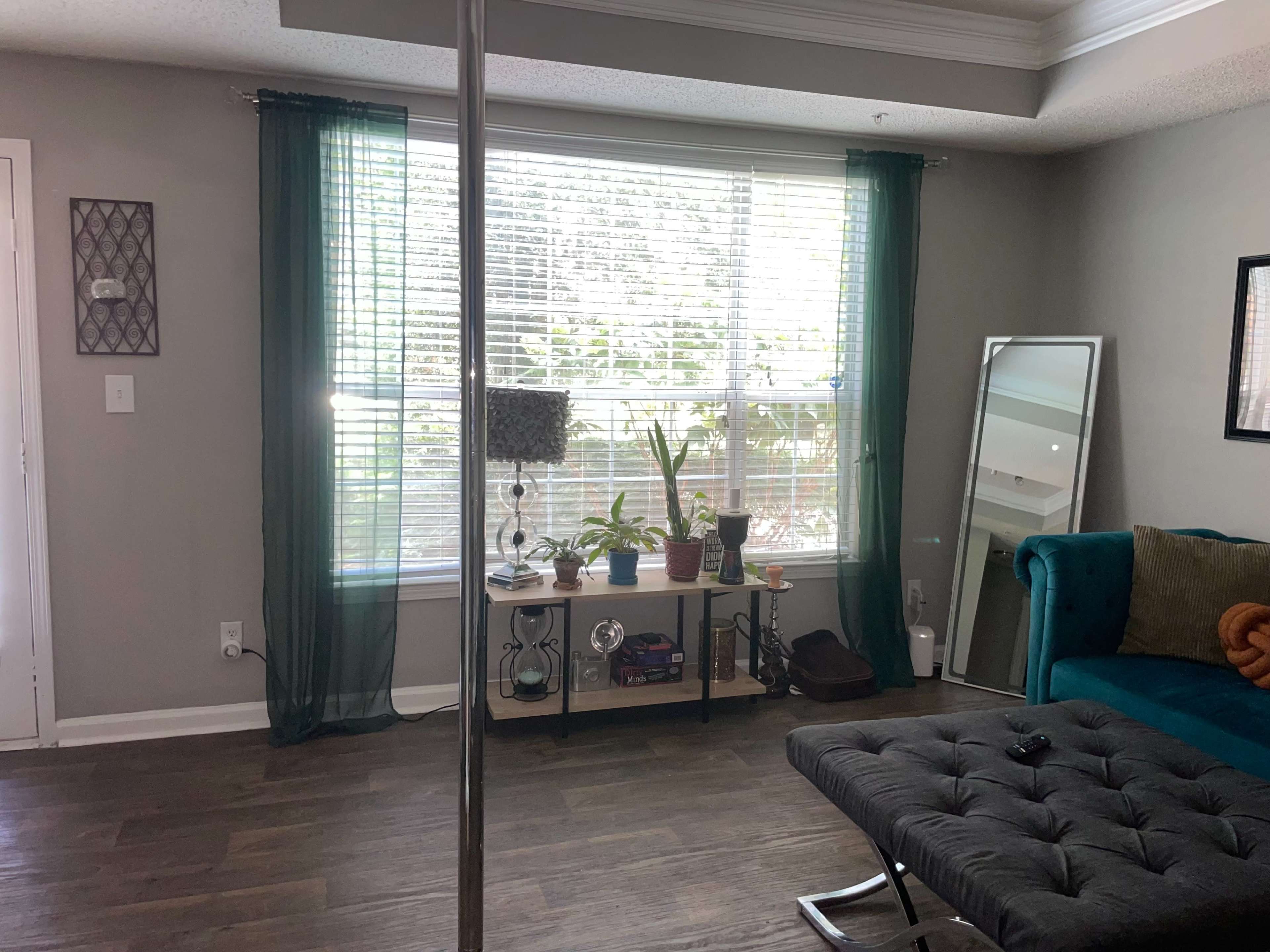 The image shows a living room with a window dressed in sheer green curtains, a mirror, a green couch, a bookshelf with plants, and a pole in the center.