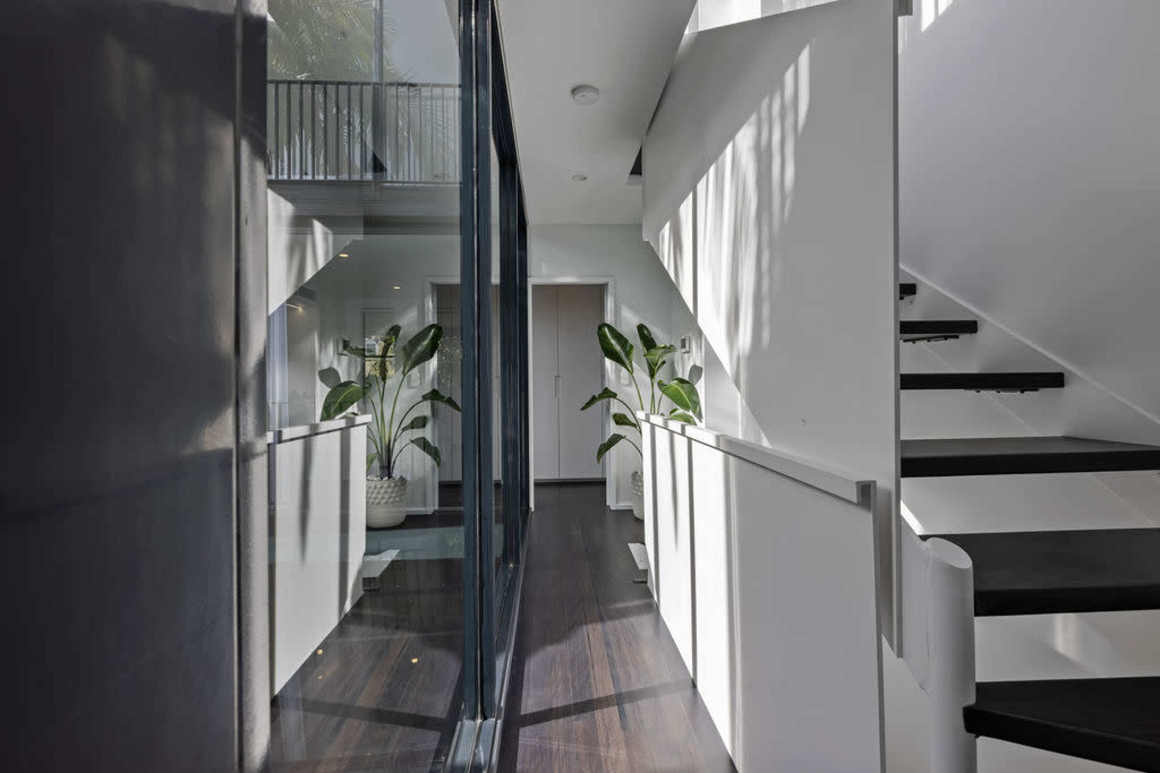 A modern staircase with black steps, surrounded by glass walls and large potted plants in a well-lit hallway.