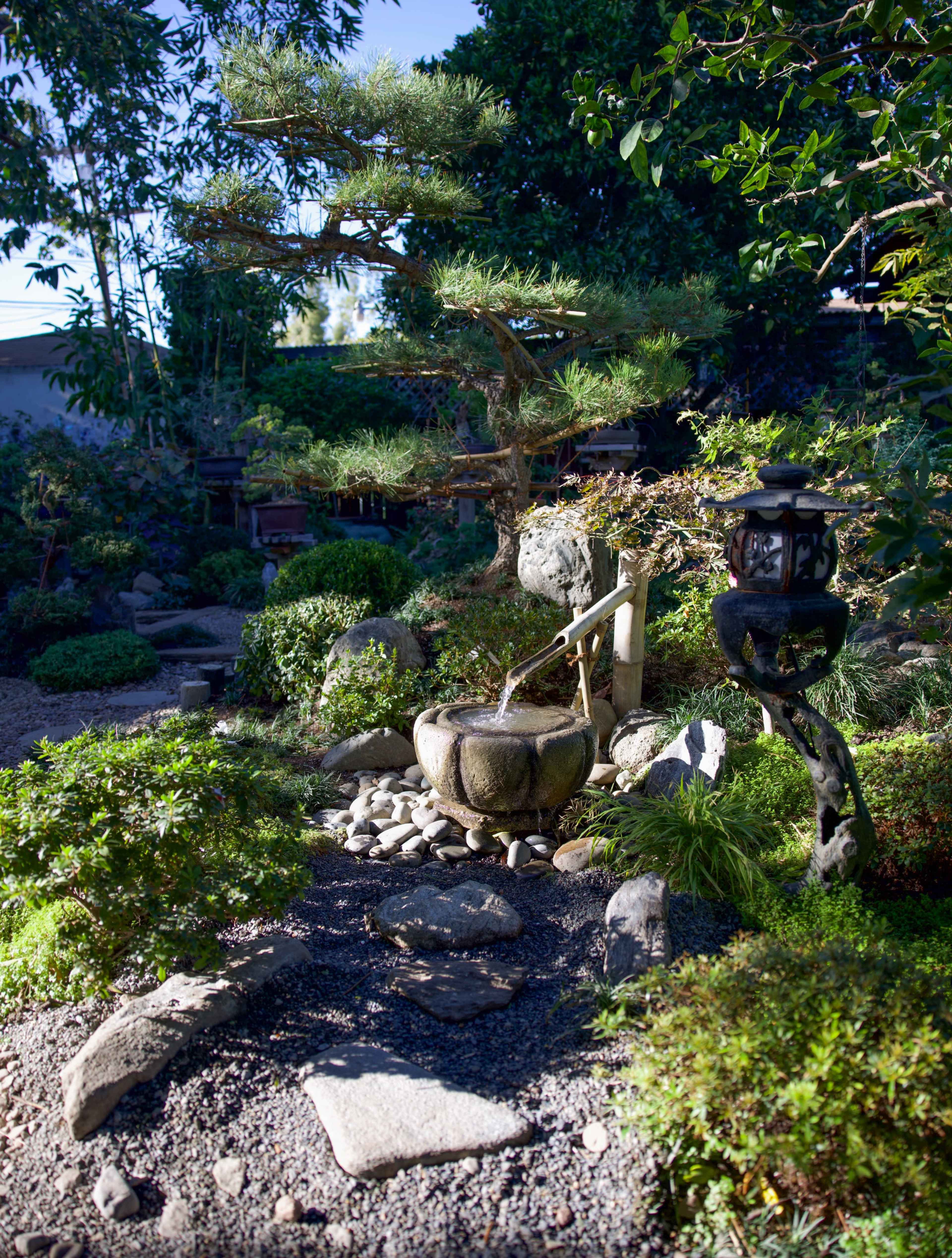 Cute Retro Vintage 70's Art House & Japanese Garden: Bohemian Furnishings, Bonsais, and Water features Image in Mar Vista, Los Angeles, CA