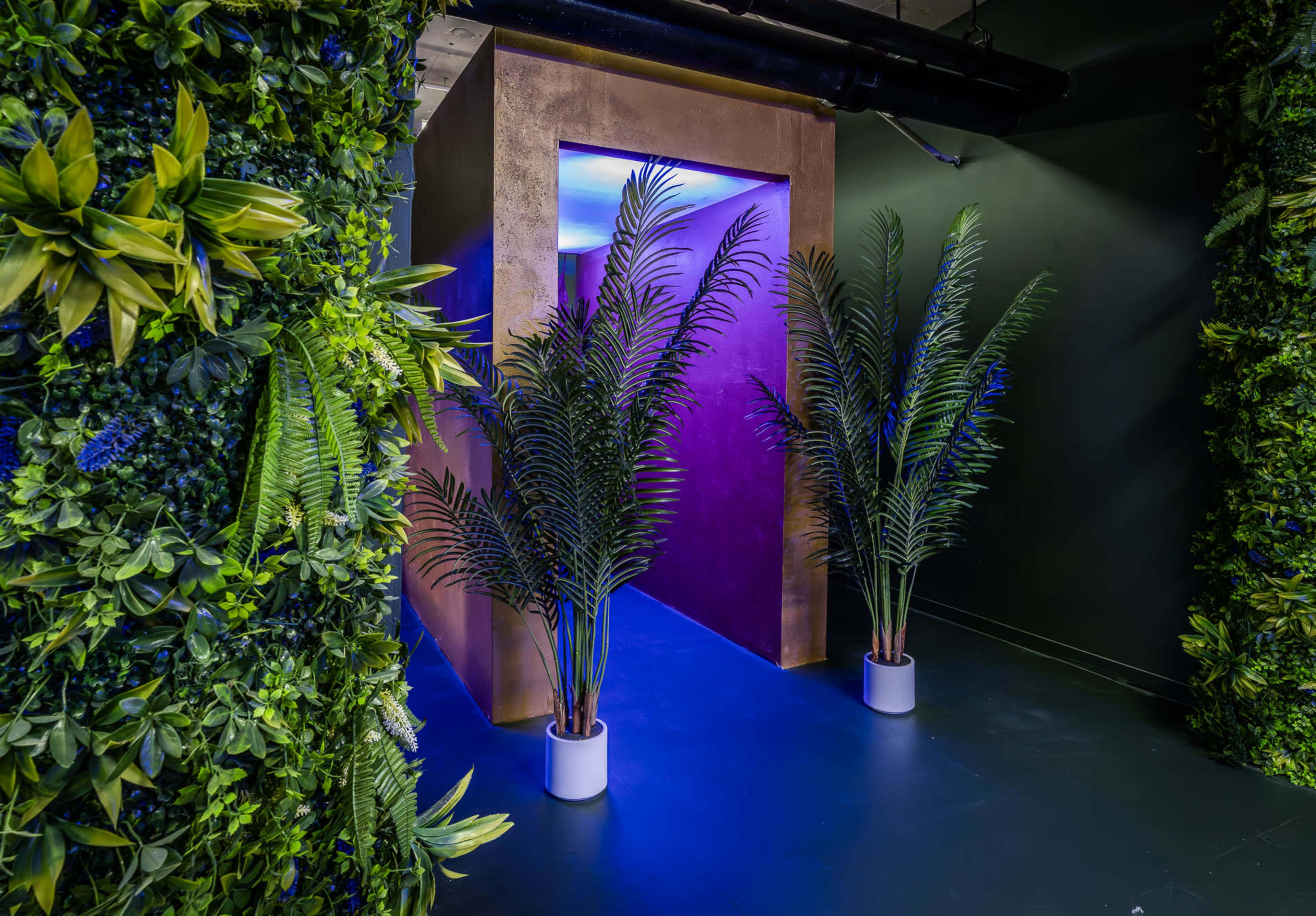 The Jungle | Creative Photo & Video Studio Image in Austin, Chicago, IL