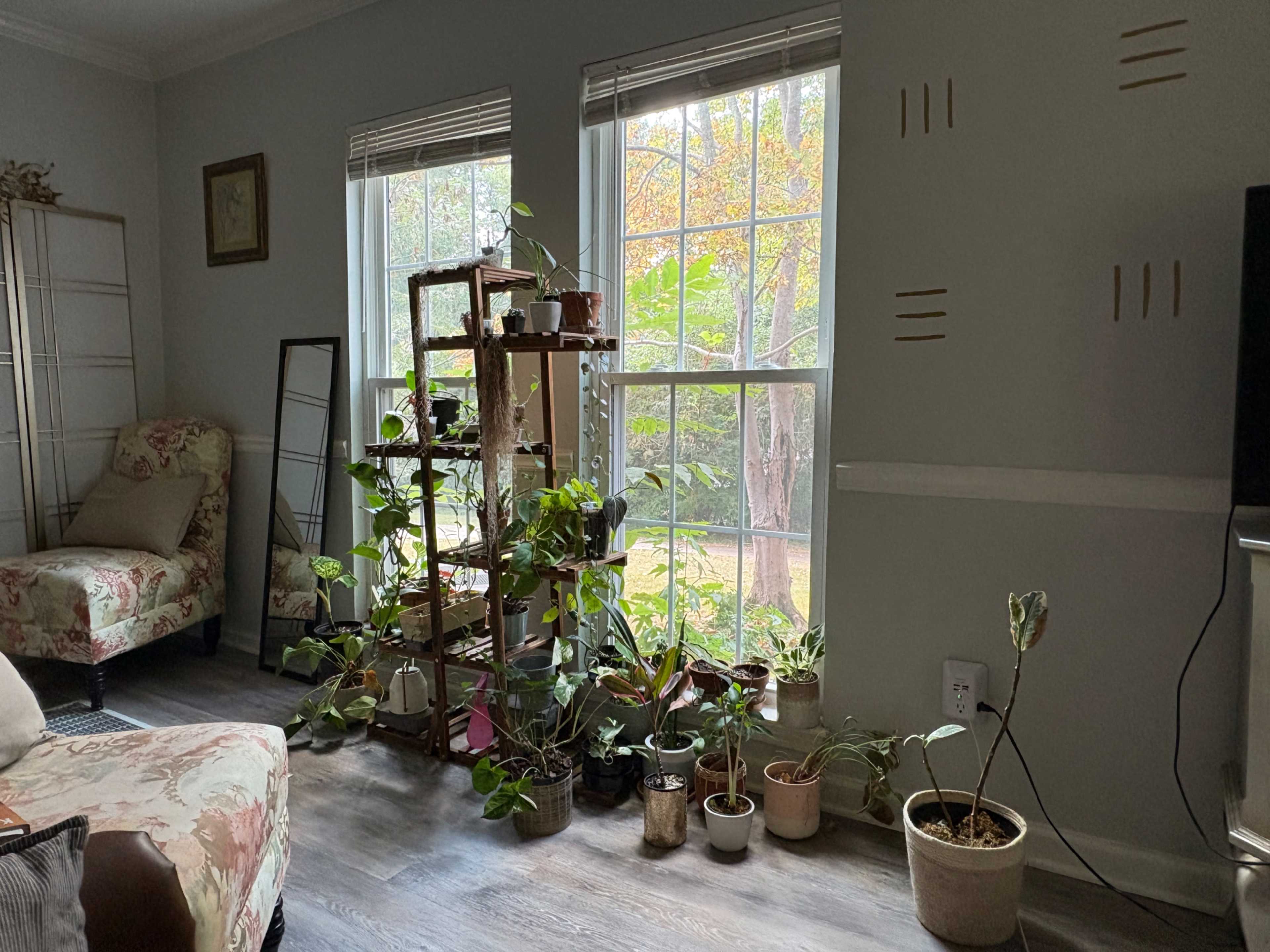 The image depicts a cozy living room corner with several potted plants arranged by a large window, alongside a vintage chair and a mirror.