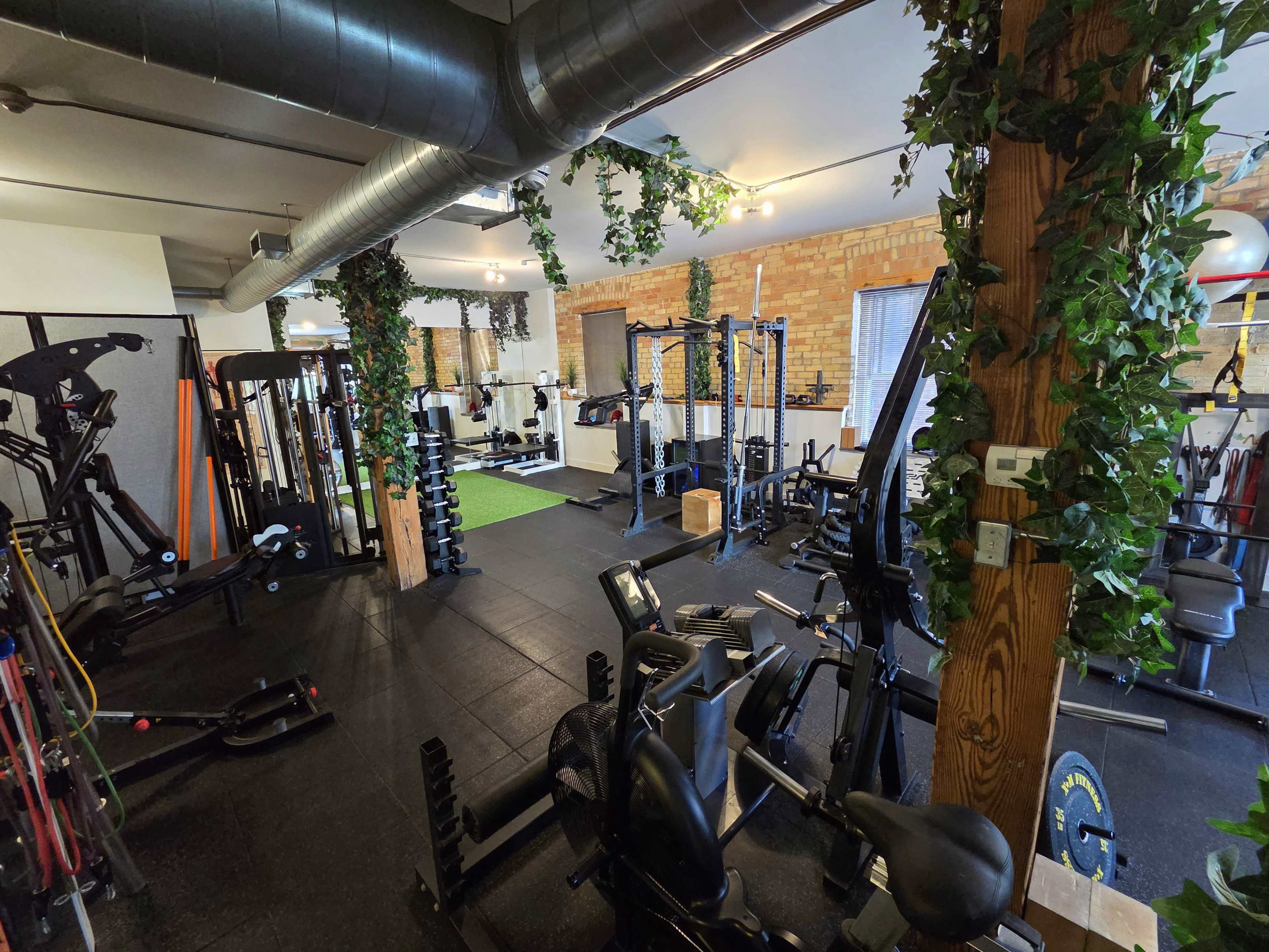 The image shows a fitness gym equipped with various exercise machines, free weights, and greenery hanging from the ceiling.
