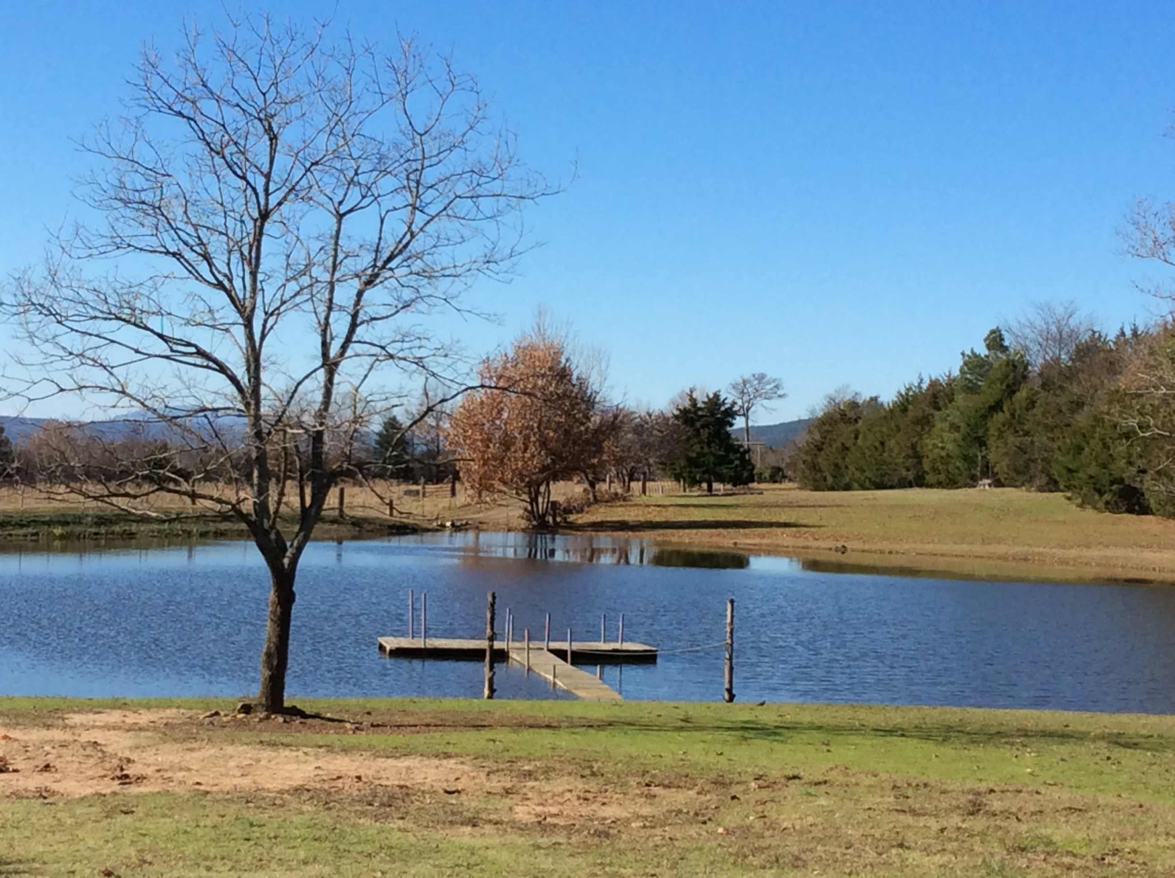 A wooden dock extends into a calm pond surrounded by open fields and scattered trees beneath a clear blue sky.