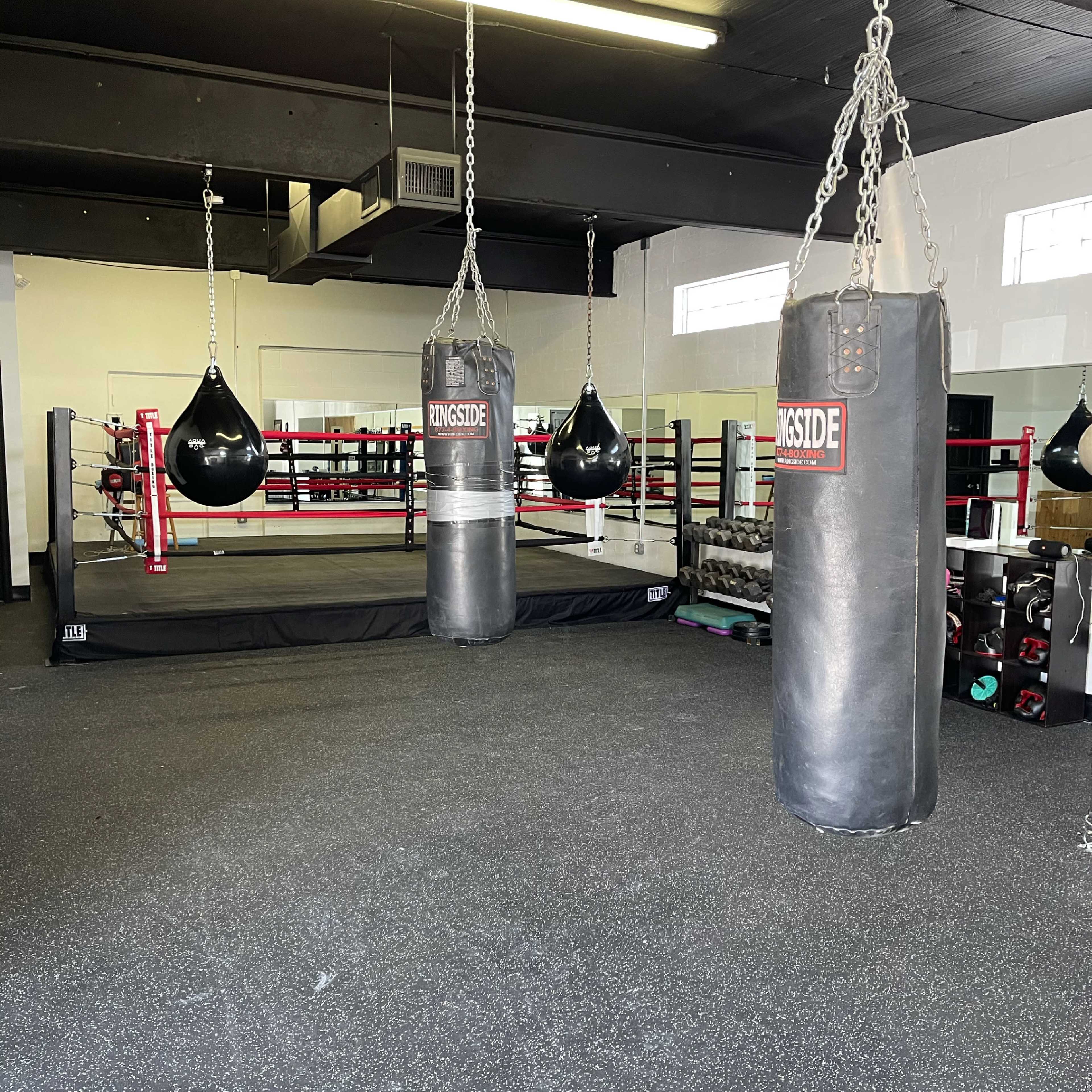 A boxing gym featuring two heavy bags and a speed bag in front of a boxing ring, with various weights and equipment in the background.