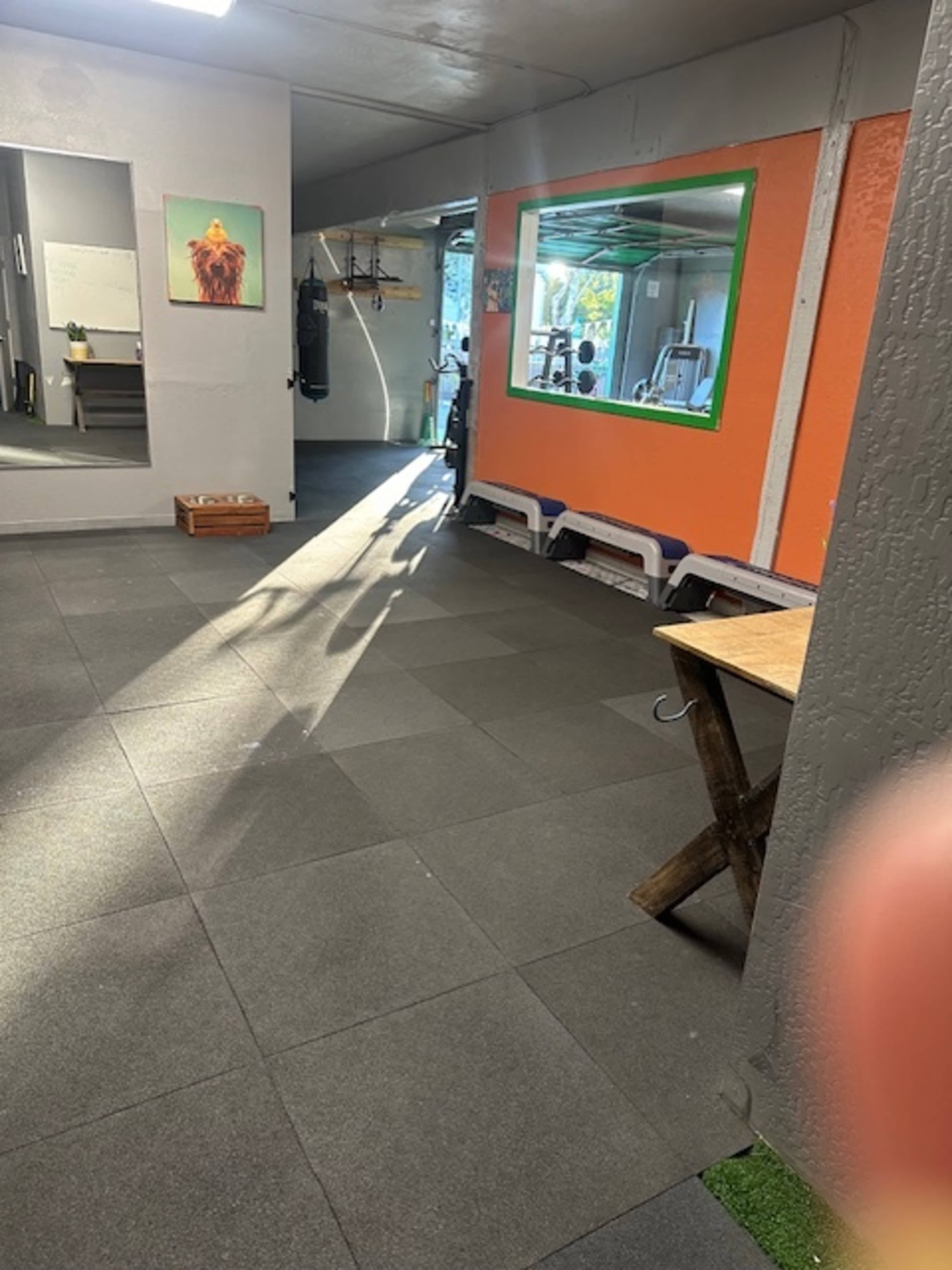 A spacious interior of a gym with gray flooring, colorful walls, and sunlight streaming through a large window.