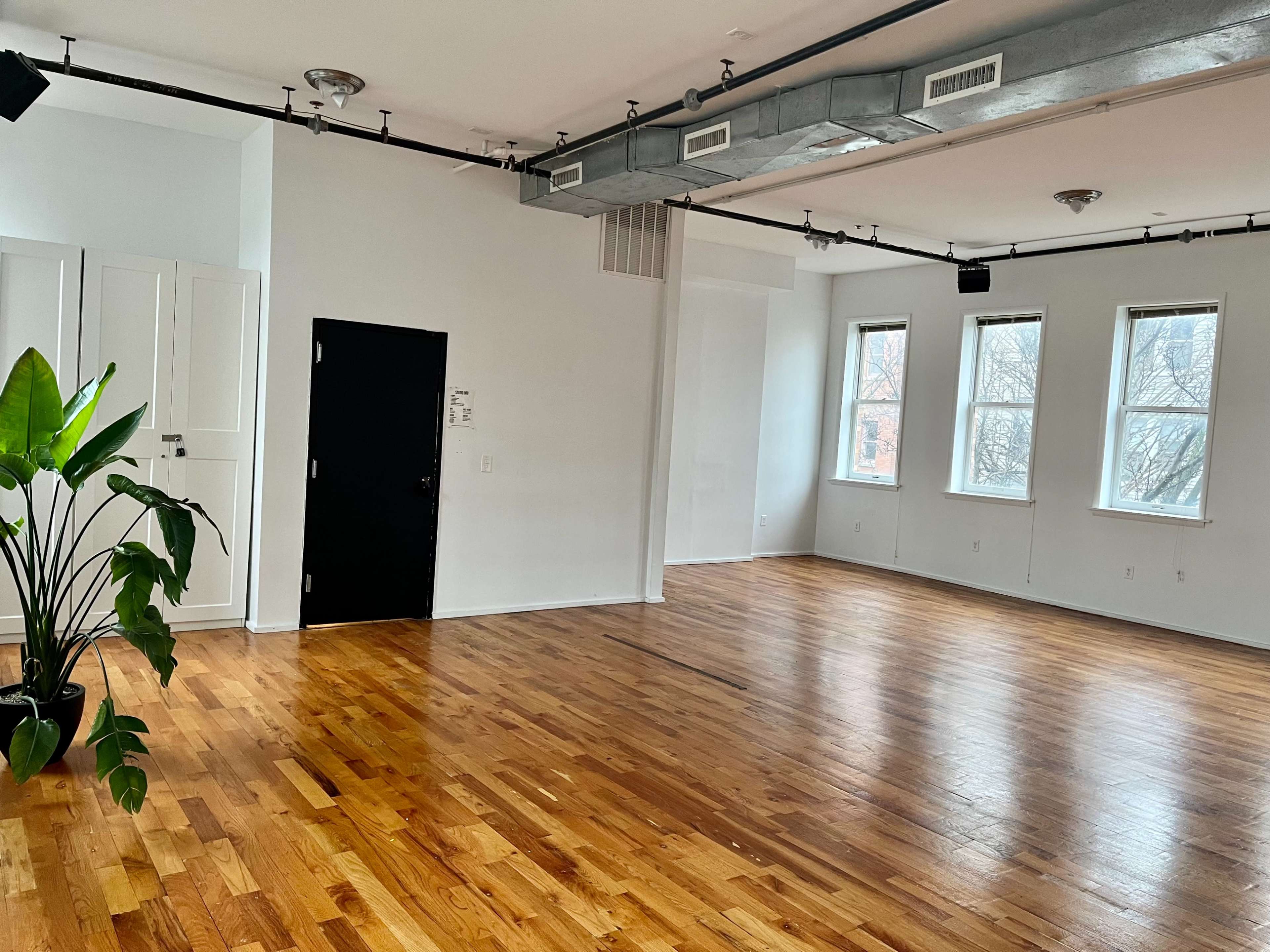 A spacious, empty room with wood floors, large windows, and a black door on one wall, along with a potted plant in the corner.