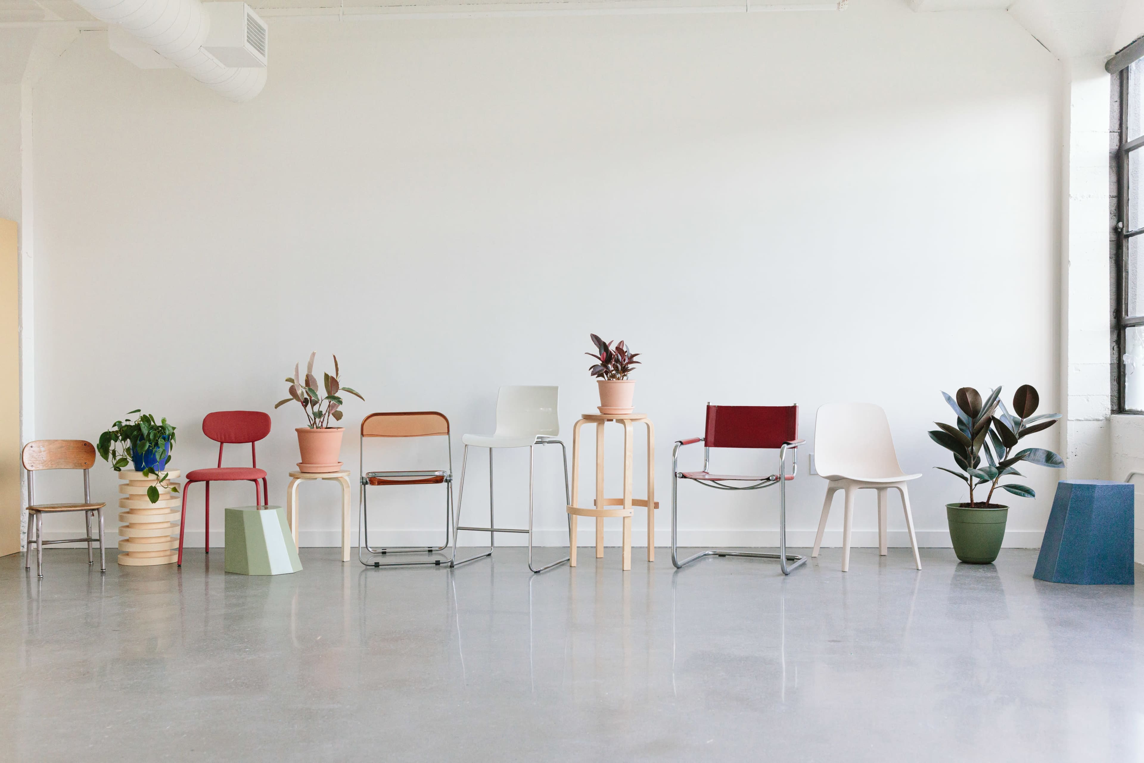 A variety of chairs and potted plants are arranged against a blank white wall in a spacious room with a polished concrete floor.