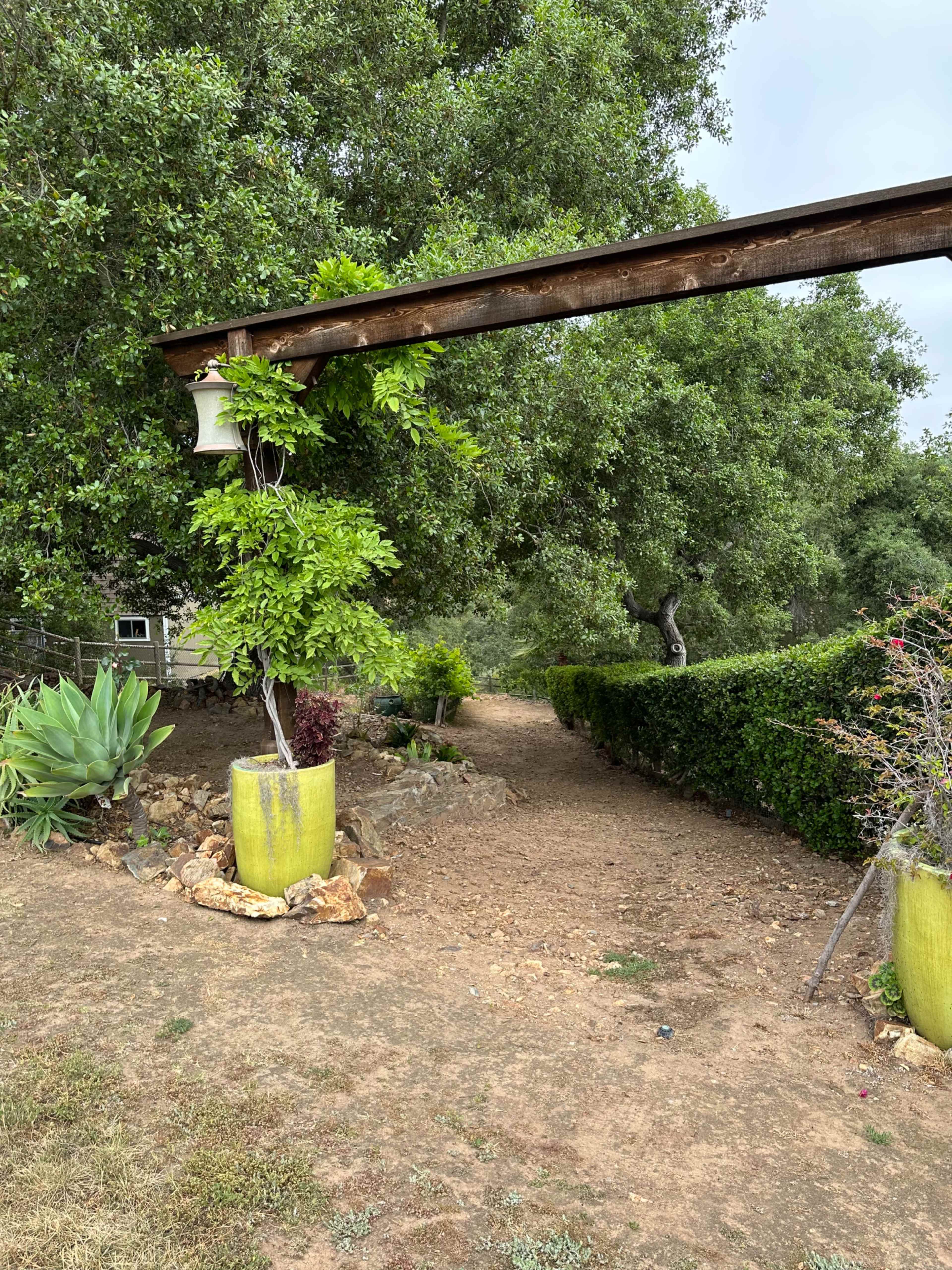 A gravel path leads through greenery, framed by wooden beams and potted plants.