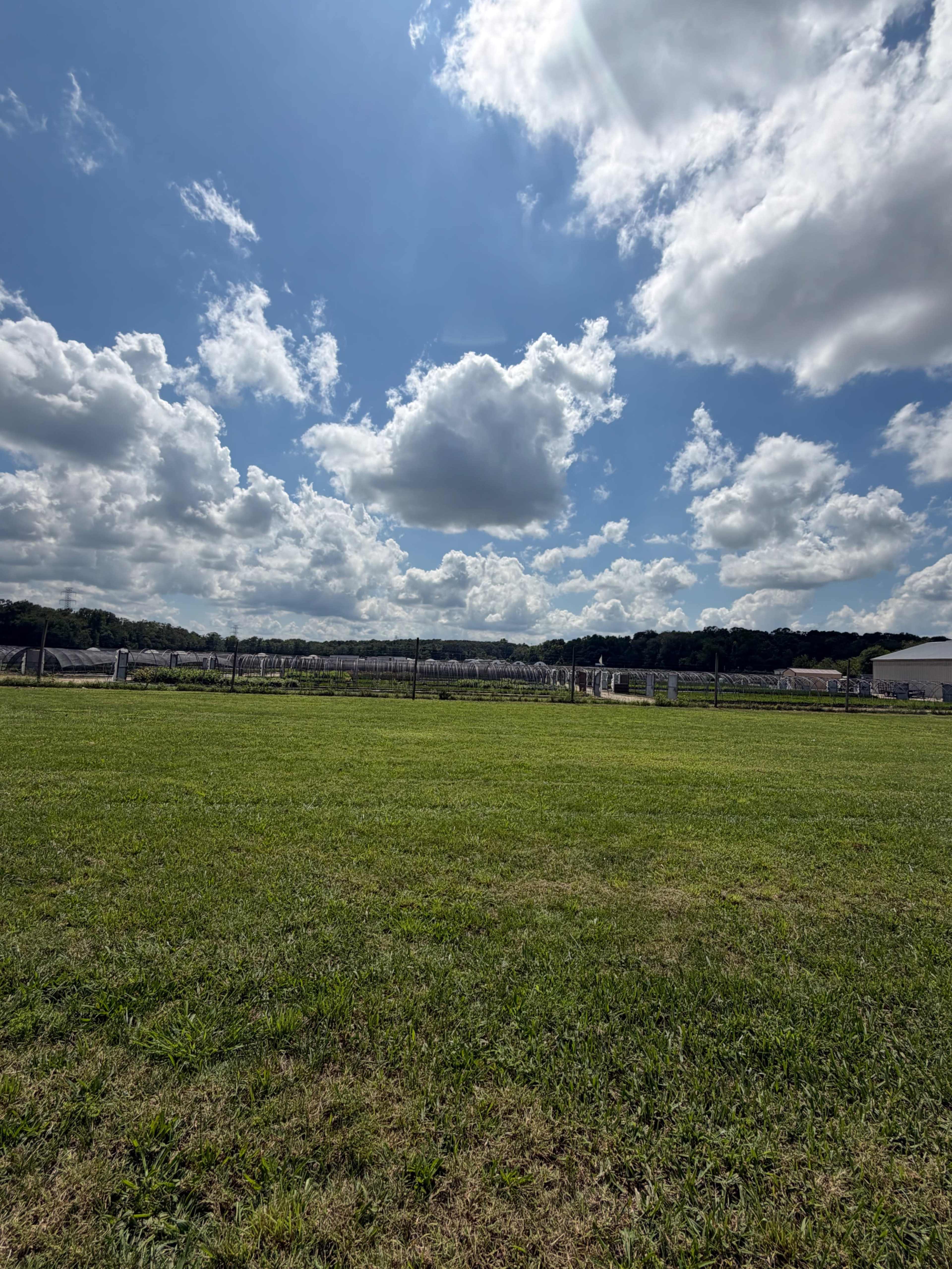A grassy field stretches under a partly cloudy sky with a distant view of a farm and wooden fence.