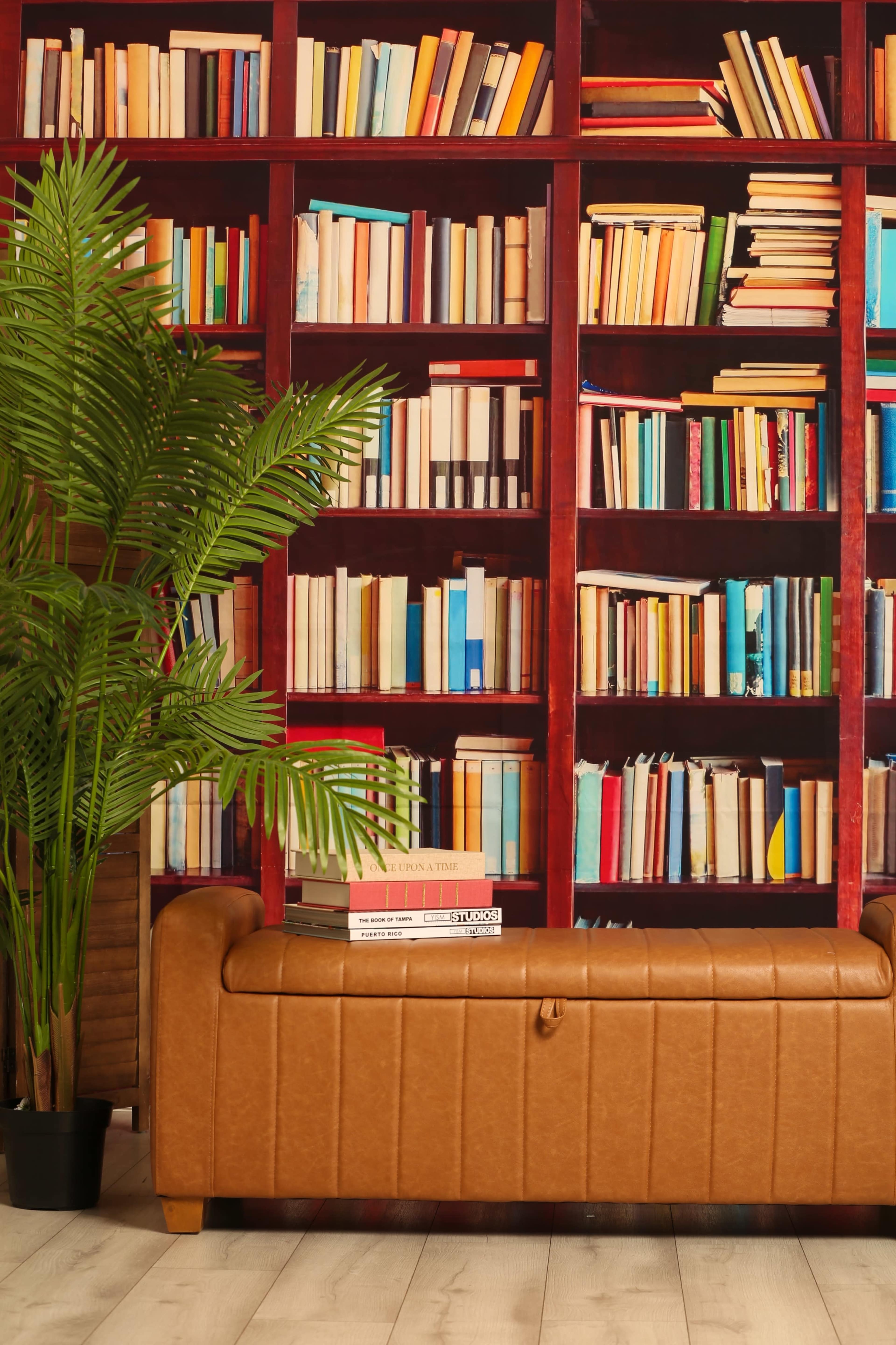 A brown leather couch is positioned in front of a large bookshelf filled with a variety of books, alongside a potted plant.