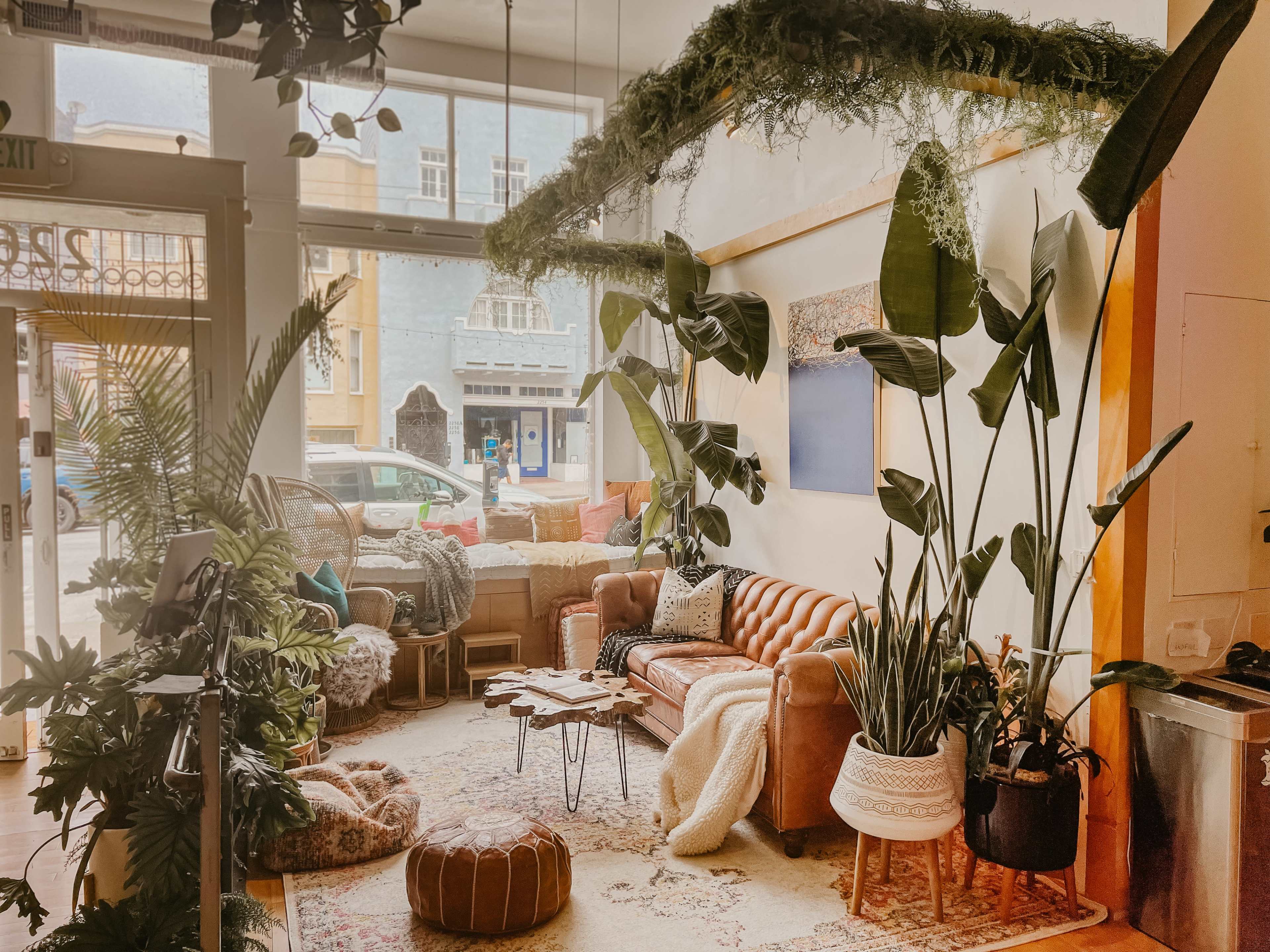 The image shows a cozy indoor space featuring a brown leather sofa surrounded by numerous houseplants, decorative rugs, and a coffee table in a well-lit atmosphere.