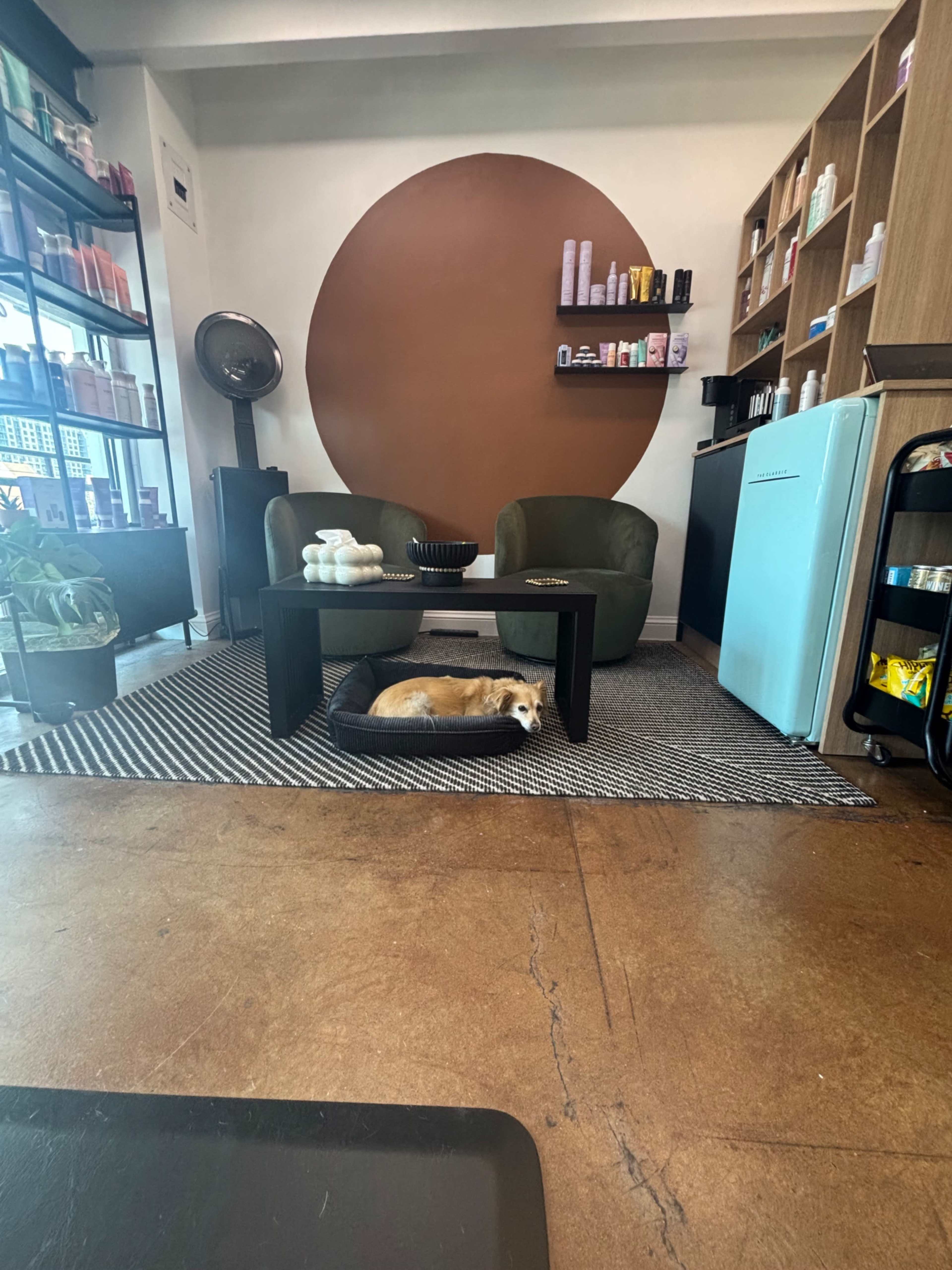 Downtown Natural Light Salon Studio Image in Five Points, Denver, CO