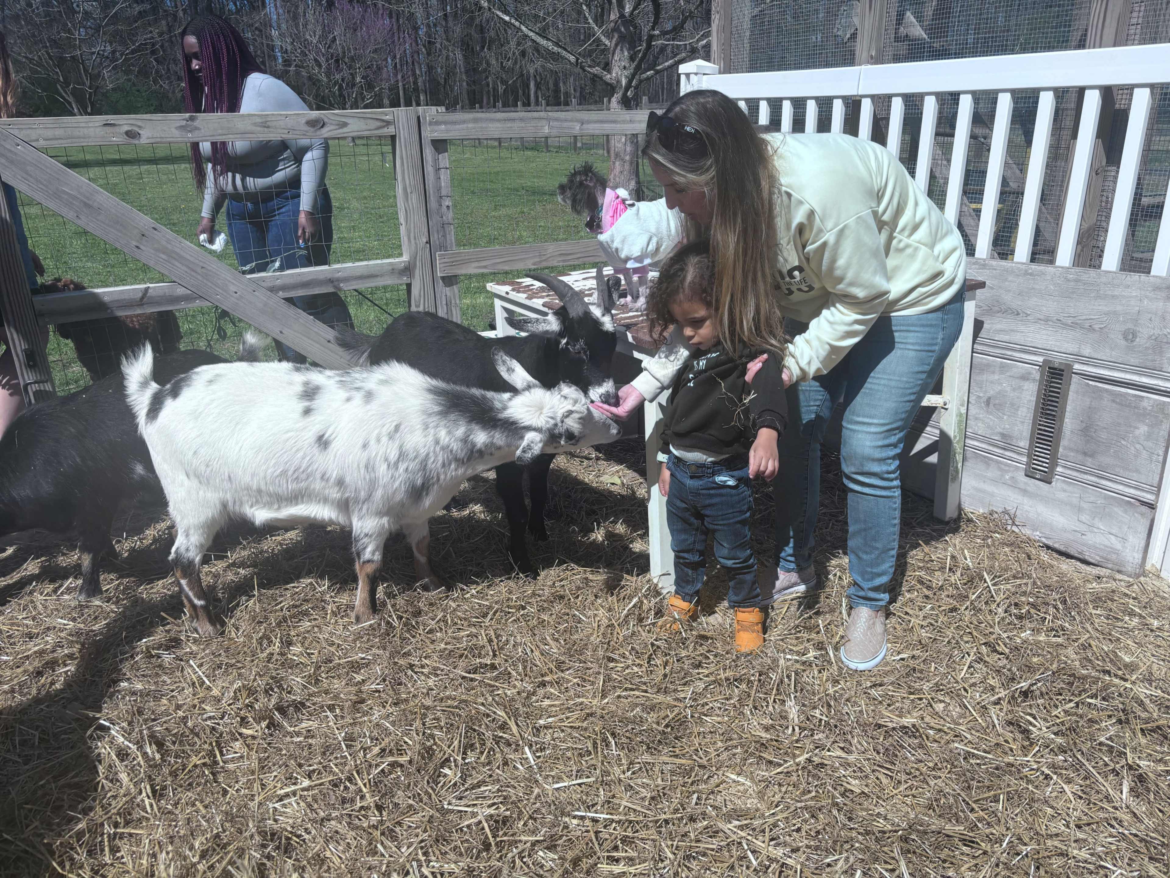 A woman interacts with a child and goats in a petting zoo setting.
