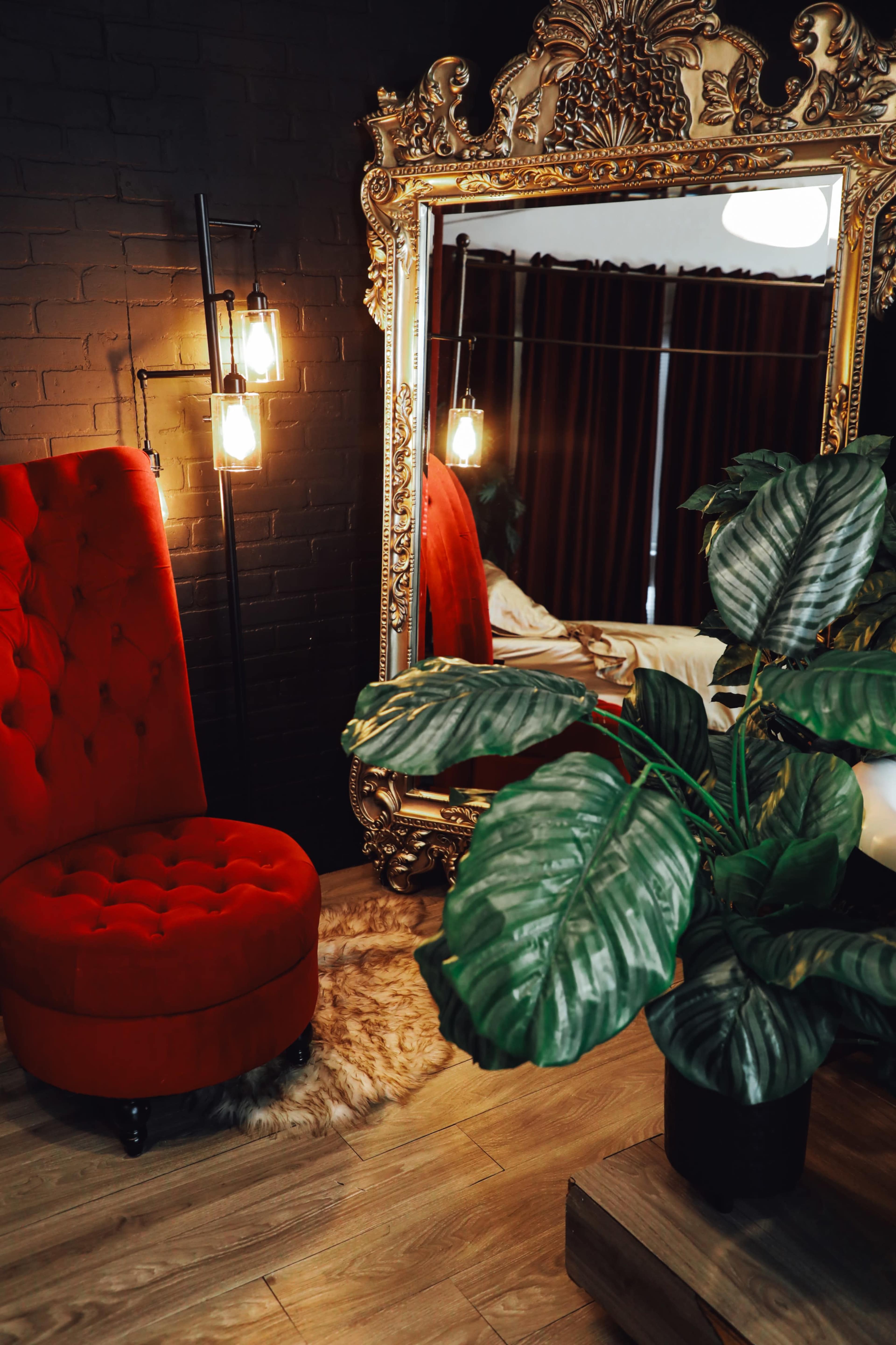 The Midnight Daydream Image in Hurst, Hurst, TX