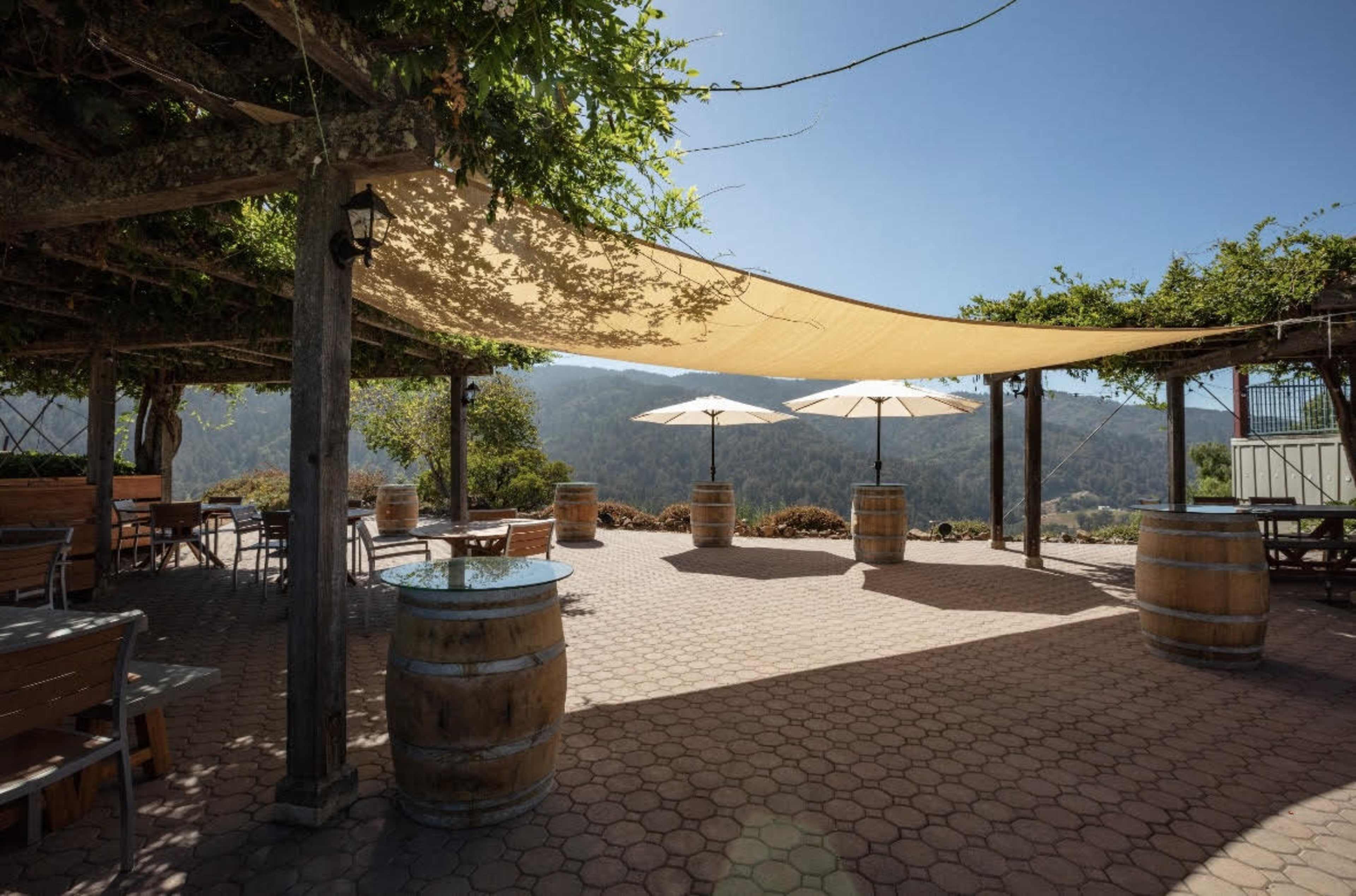 Elegant Vineyard Venue in Saratoga – Ideal for Tastings & Team Offsites Image in , Saratoga, CA