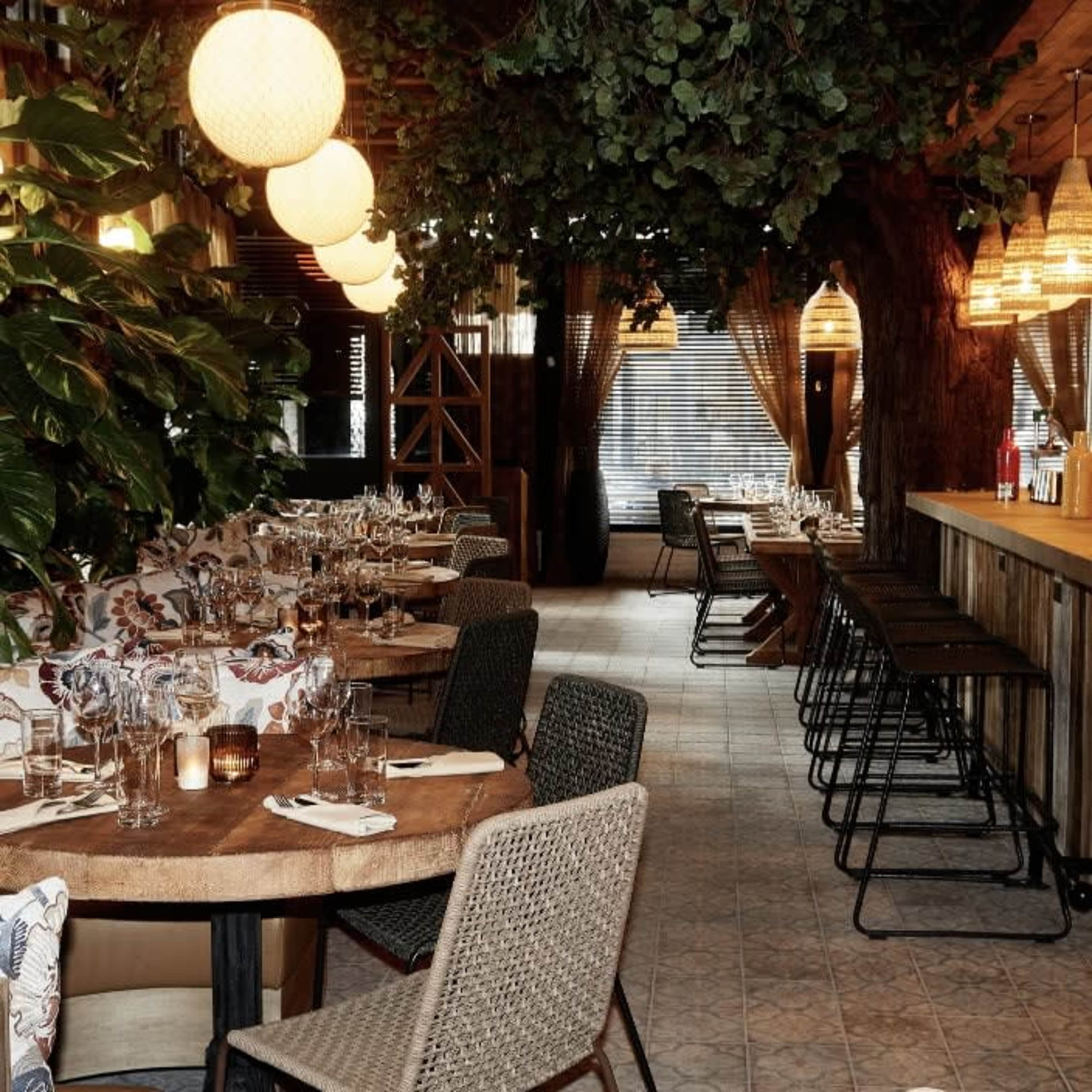 The image shows a warmly lit restaurant interior featuring wooden tables, woven chairs, and a large tree-like structure, with decorative plants and pendant lights overhead.