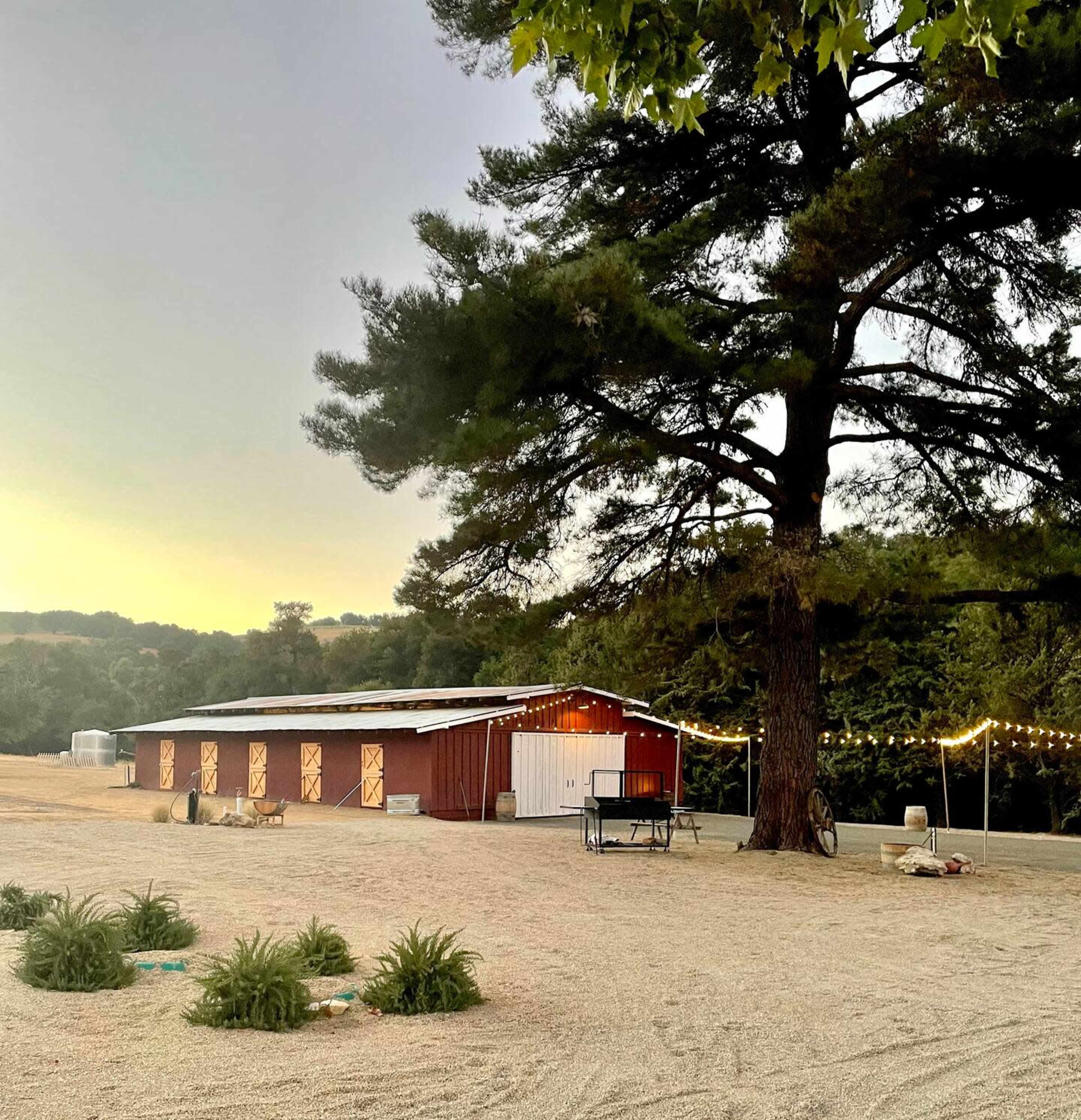 A red barn with white doors stands near a large tree, surrounded by a gravel area and illuminated by string lights.