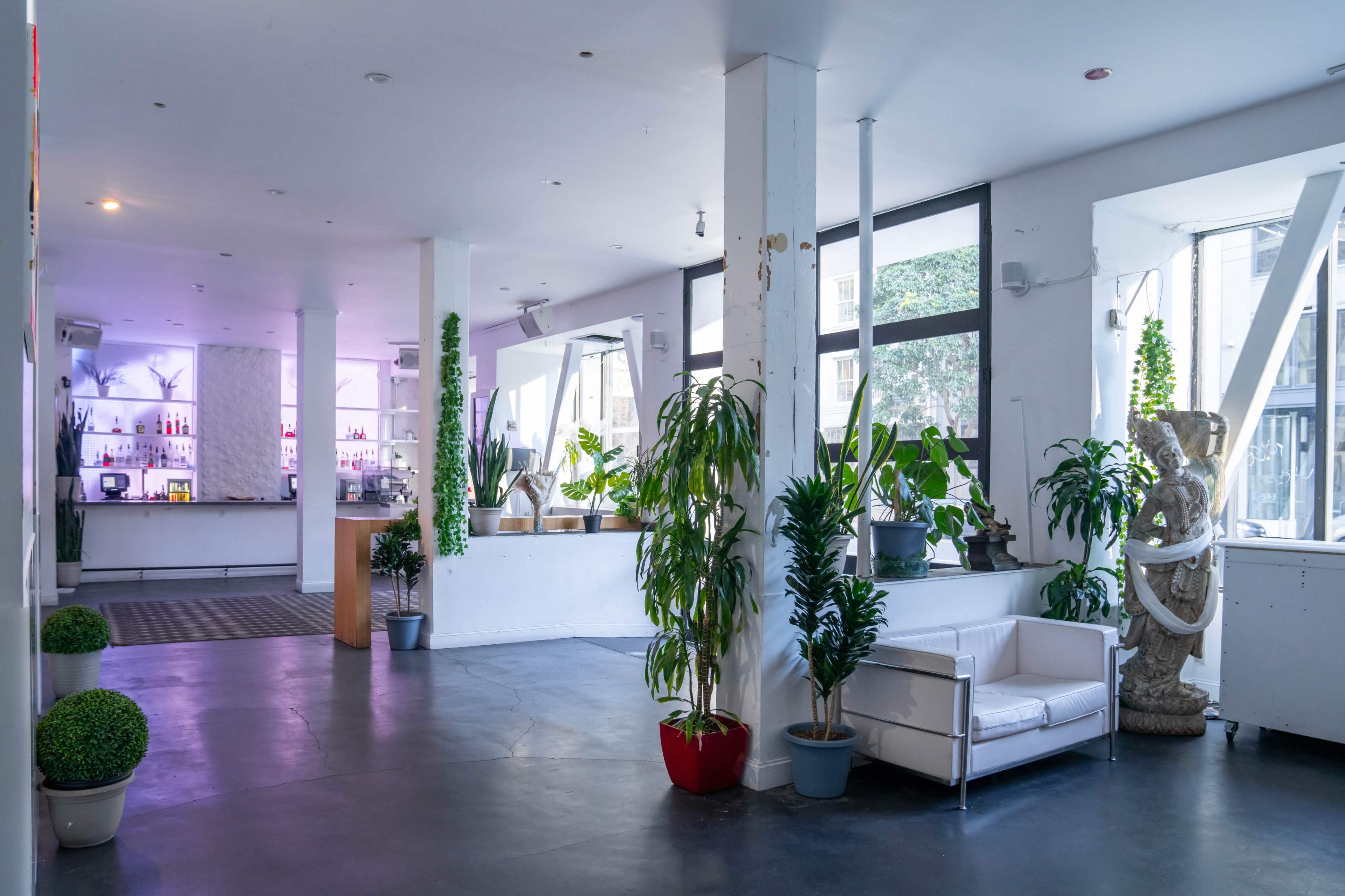 A spacious interior with a white sofa, potted plants, and a bar area illuminated by soft lighting.