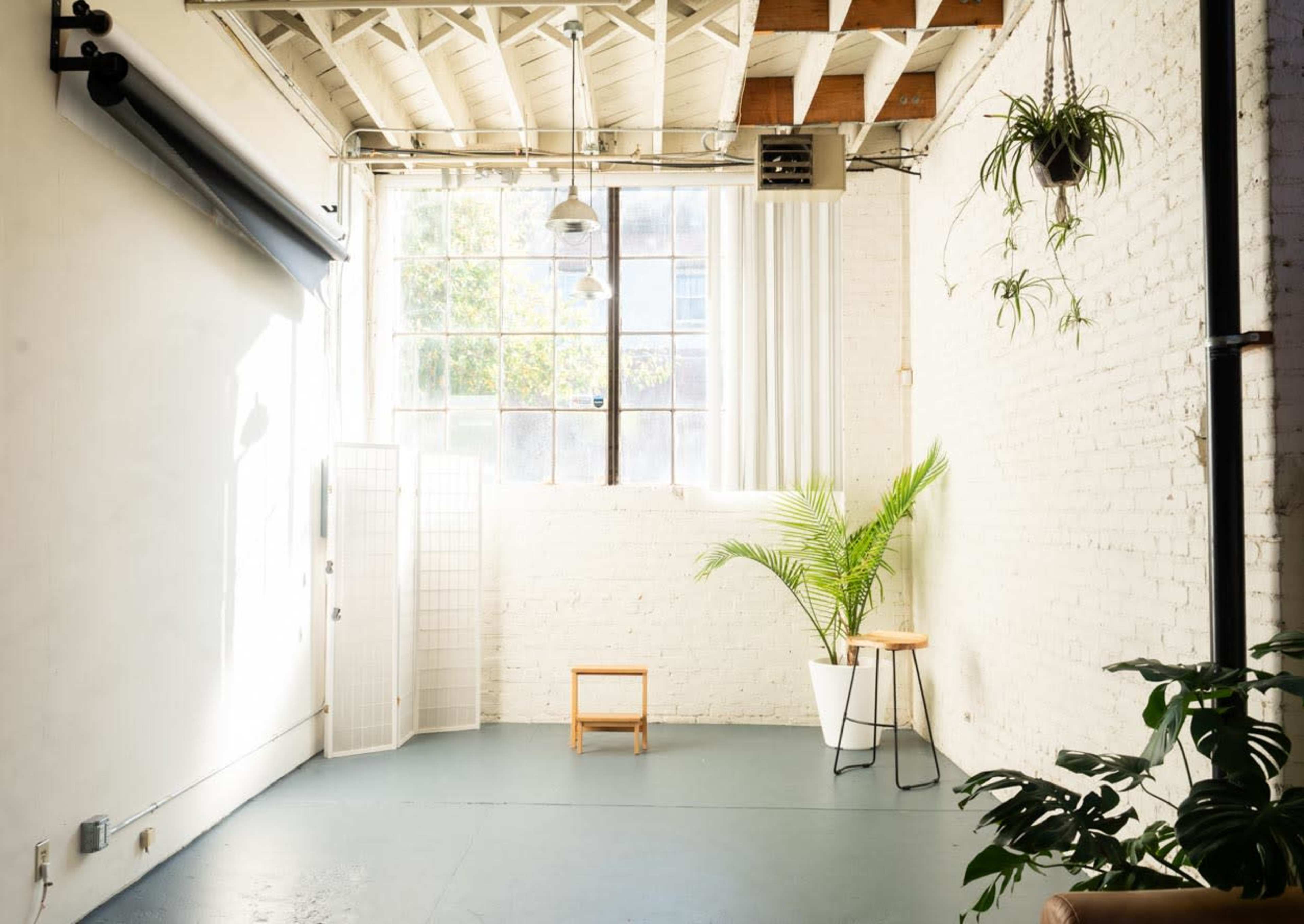 A spacious, well-lit room with a large window, a potted plant, a small stool, and a folding screen against a white brick wall.