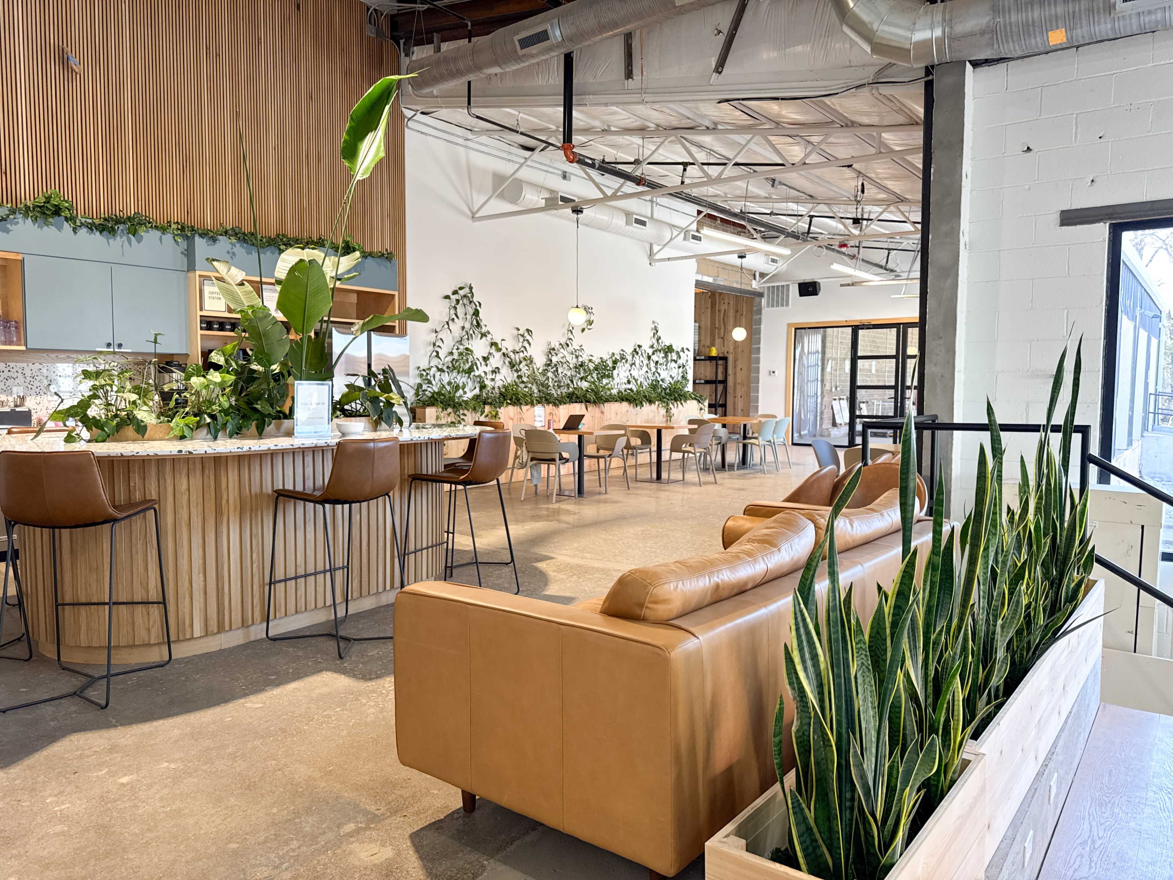 The image shows a modern interior space featuring a light wooden bar area, green plants, a leather sofa, and a mix of dining and seating arrangements under a high ceiling.