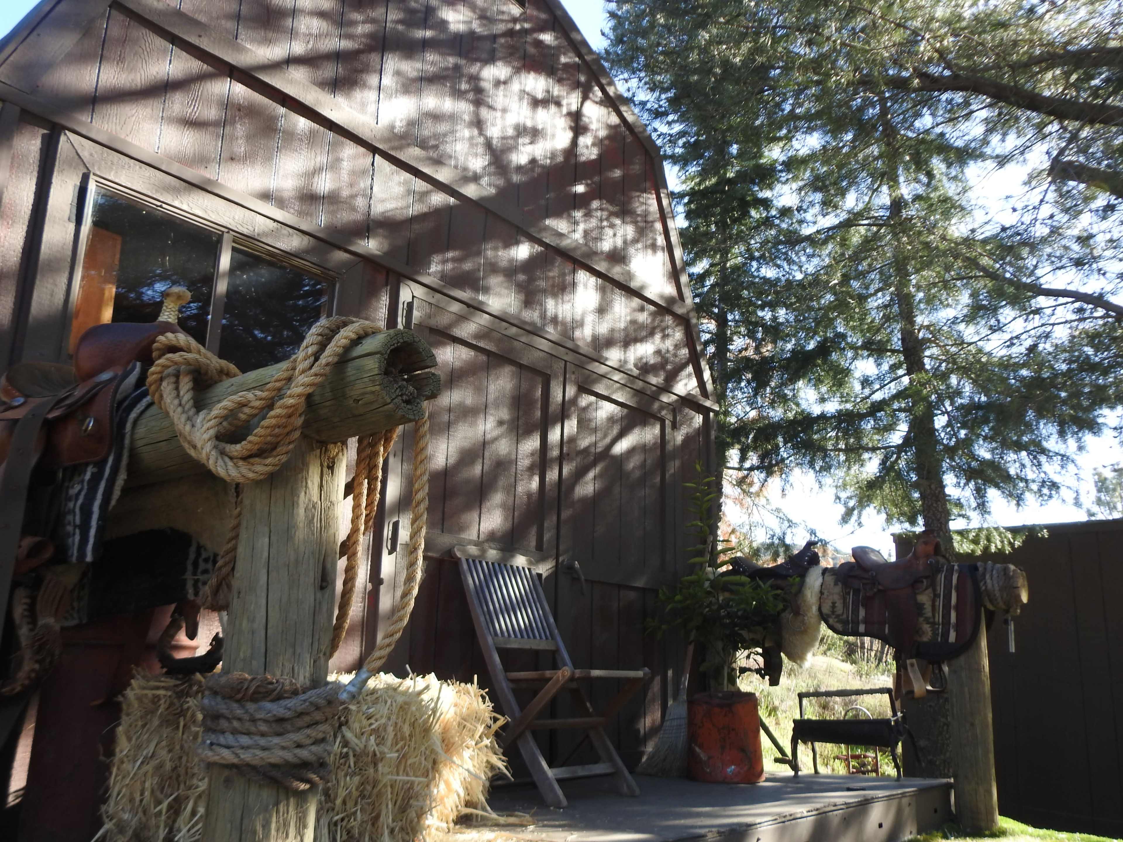 The image shows a rustic barn exterior with a wooden post, a chair, and saddles displayed nearby, surrounded by tall trees and a hay bale.