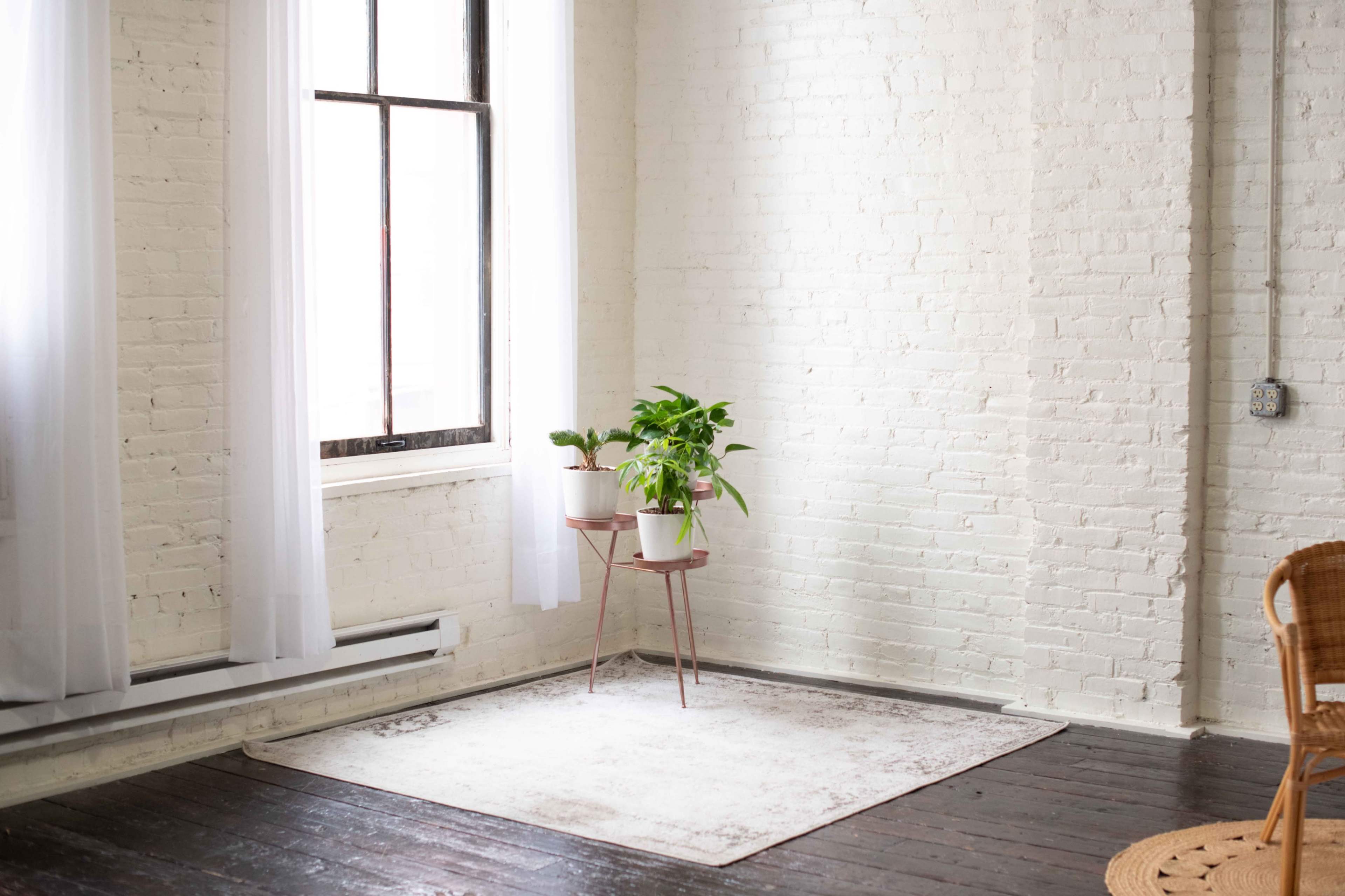 A small indoor space features a potted plant on a stand near a window with sheer curtains, and a light-colored rug on a dark wooden floor.