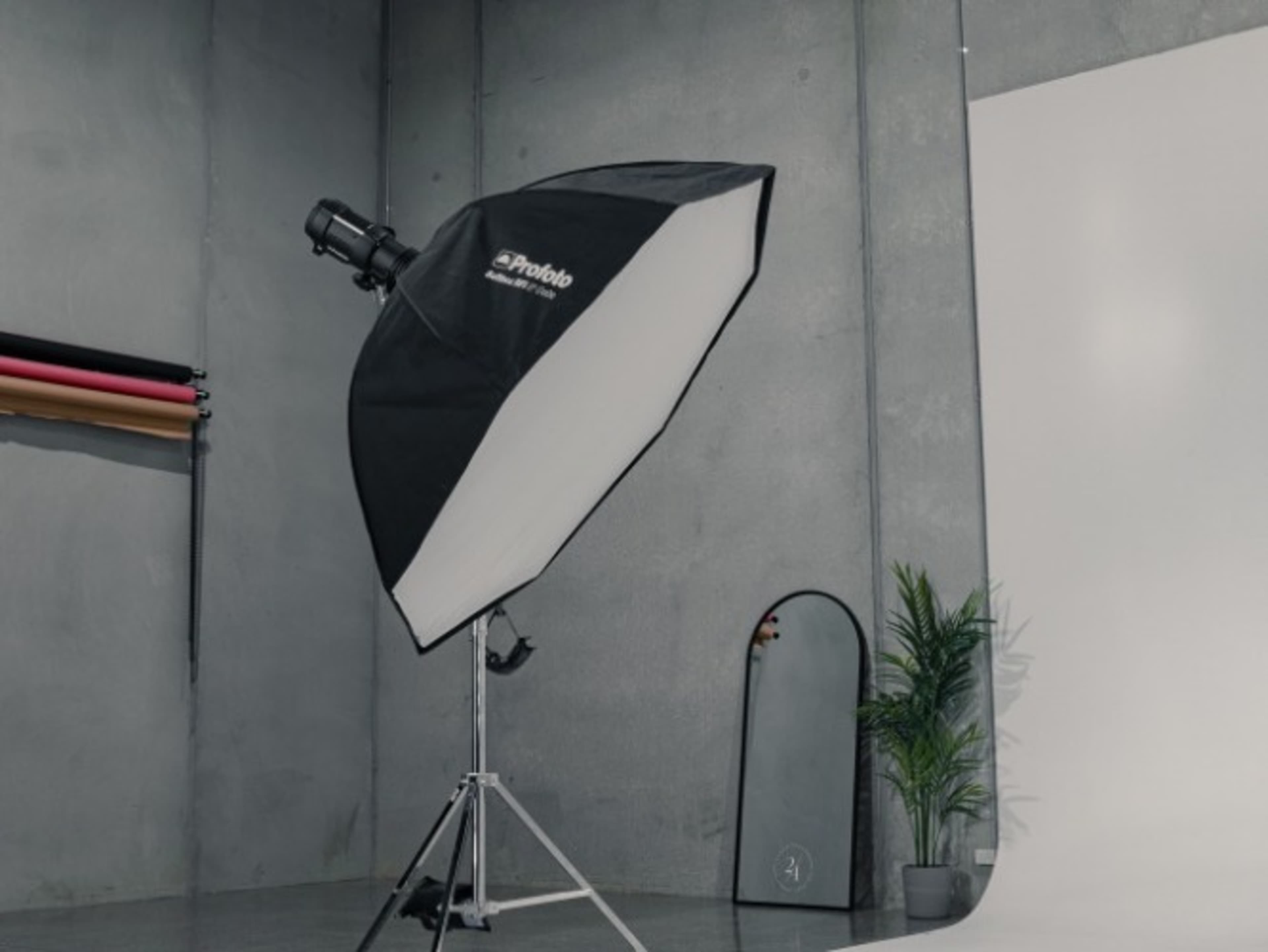 ProFoto Light and Modifier Package