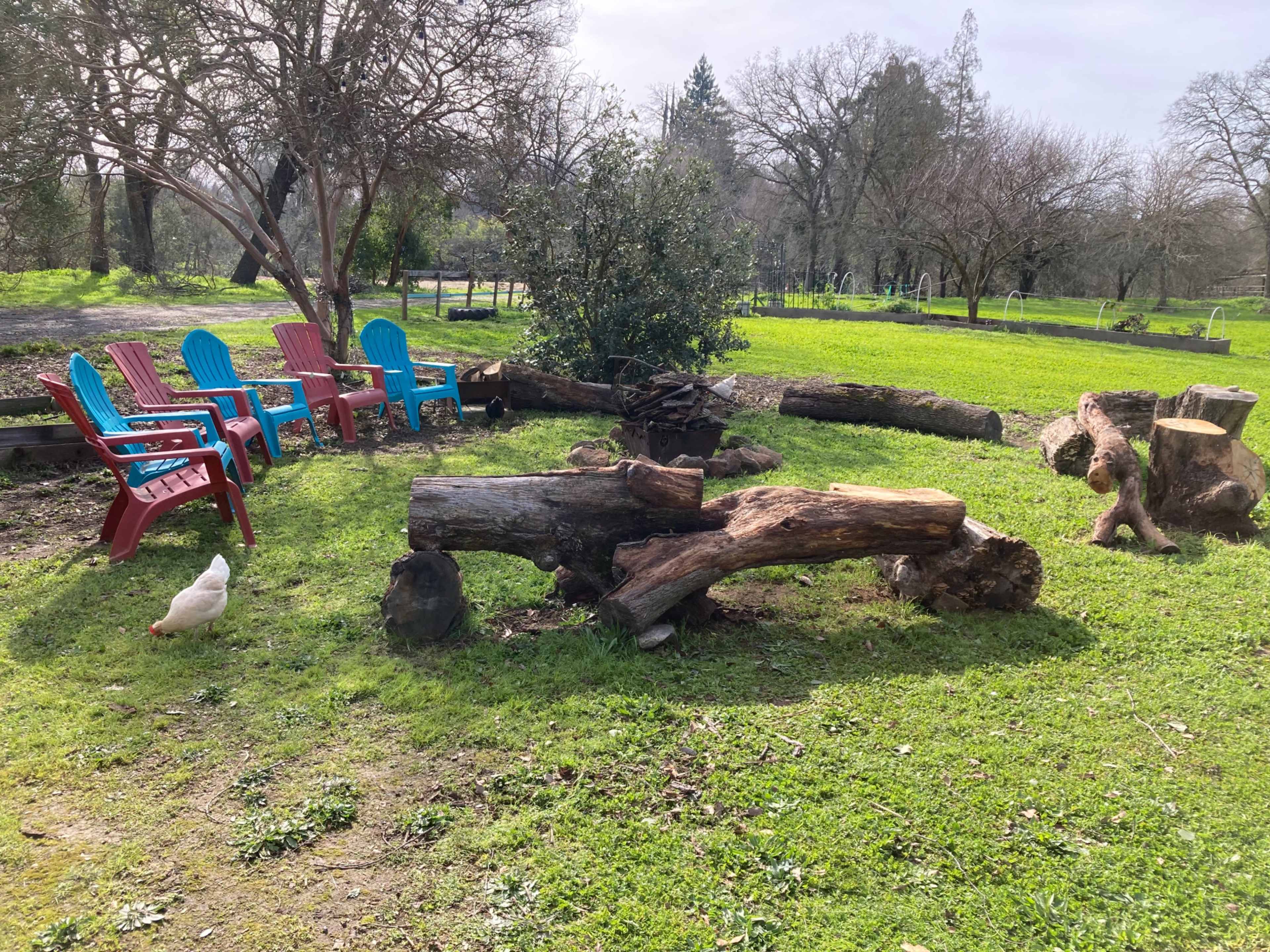 Cozy Fireside Experience @Bliss Farm Image in Citrus Heights, Citrus Heights, CA