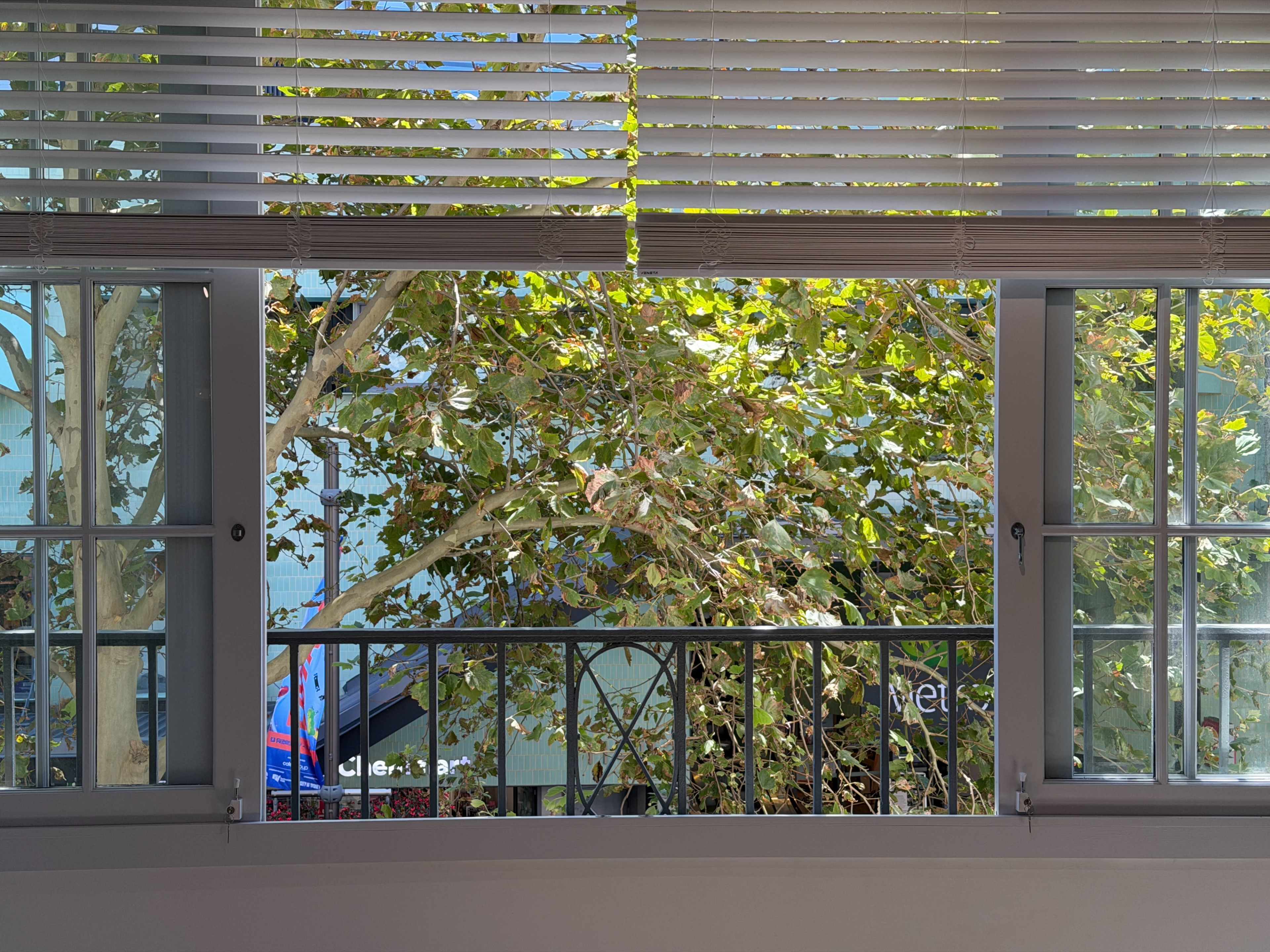 The image shows a window with blinds partially open, revealing a view of green leaves from a tree outside.