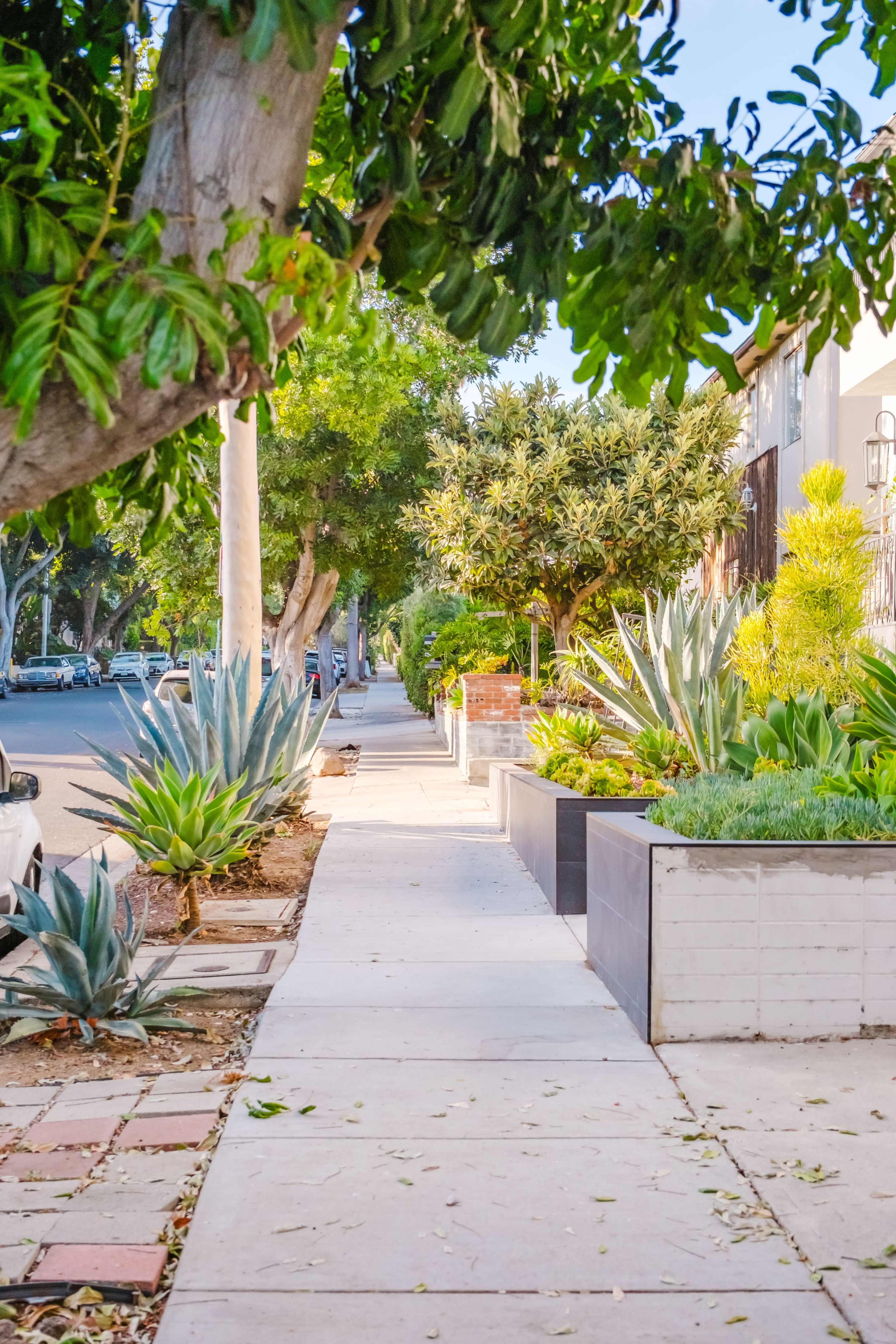 A wide sidewalk lined with trees and various plants runs alongside a residential street.