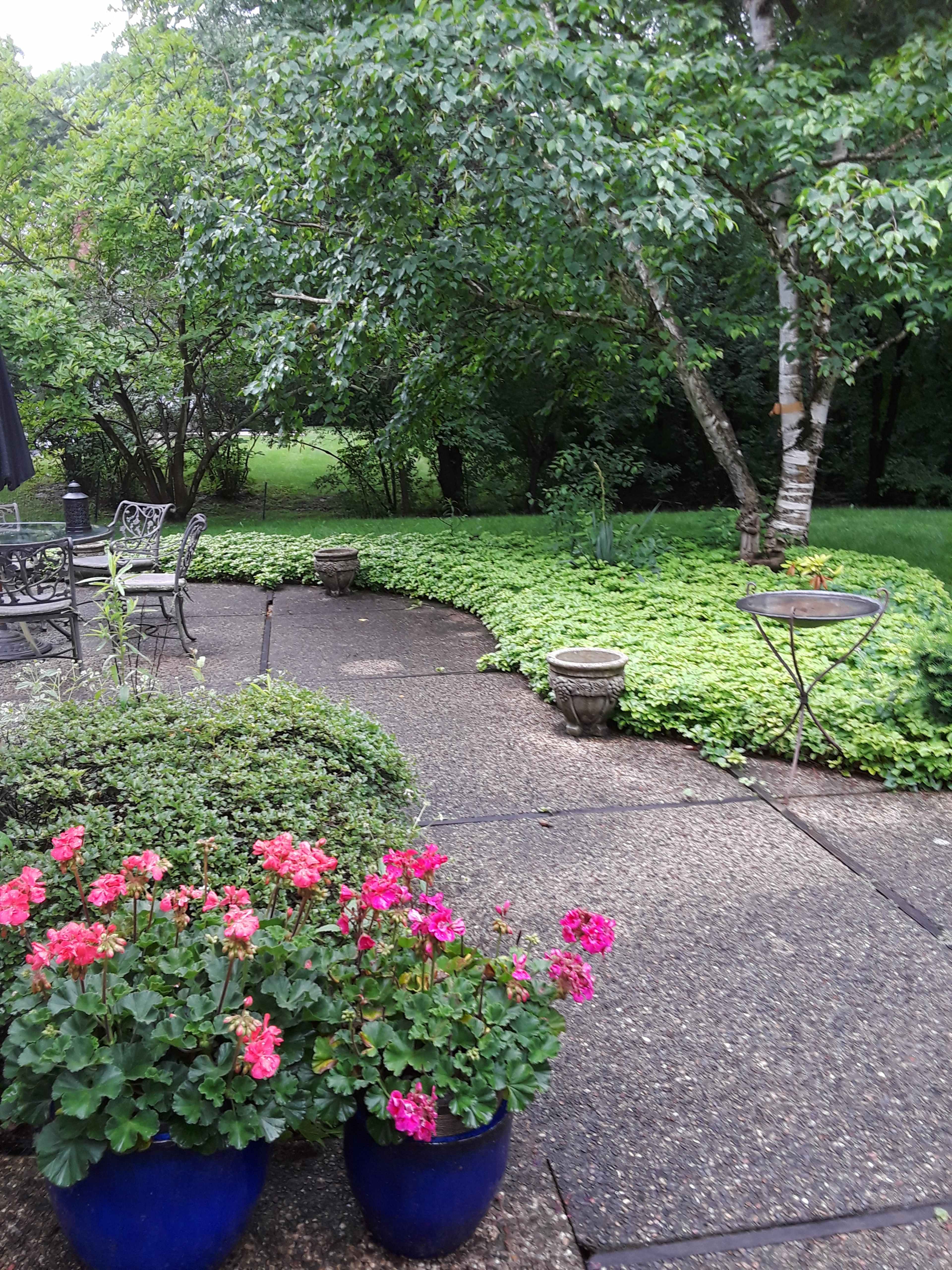 A garden area with a paved walking path, planters with pink flowers, and a lawn surrounded by greenery.