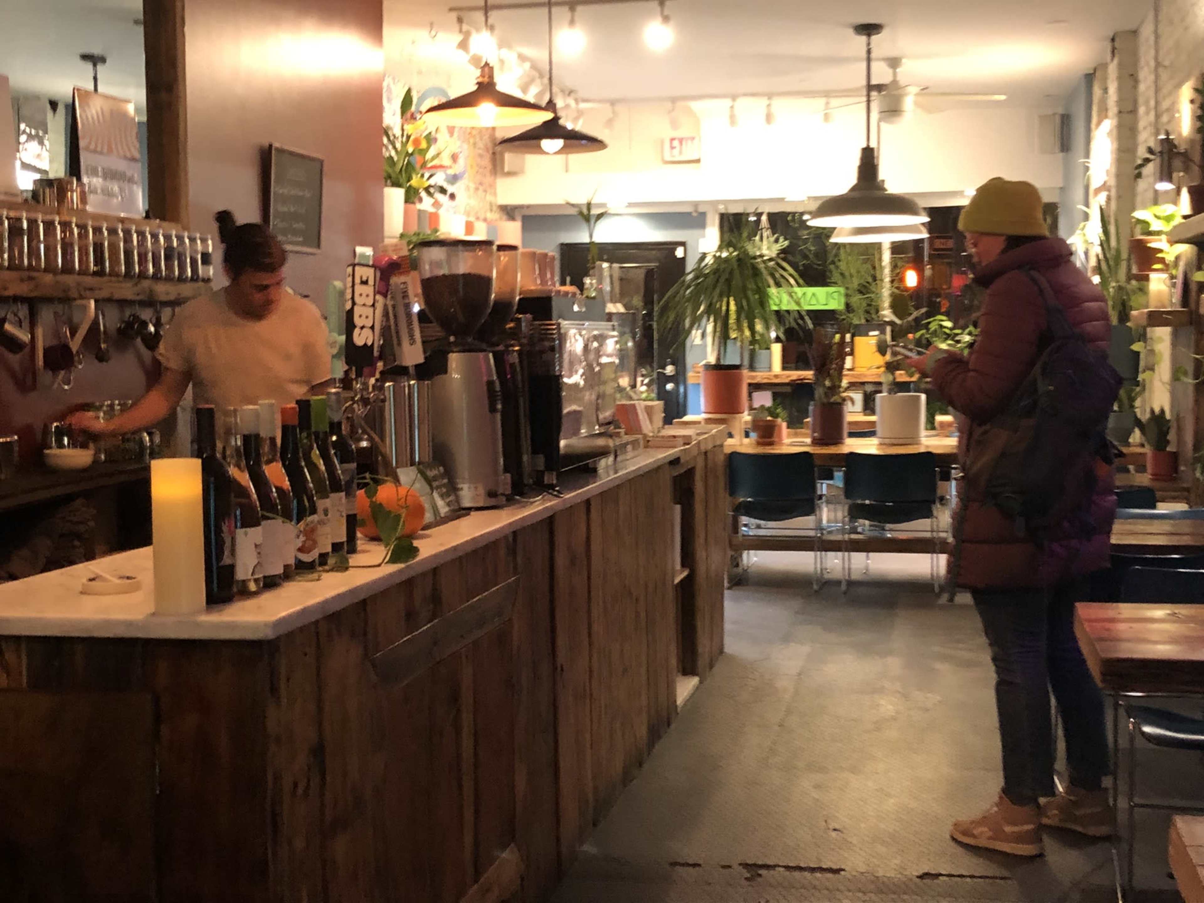 Cozy Brooklyn Cafe. Studded with Plants. Image in Carroll Gardens, Brooklyn, NY