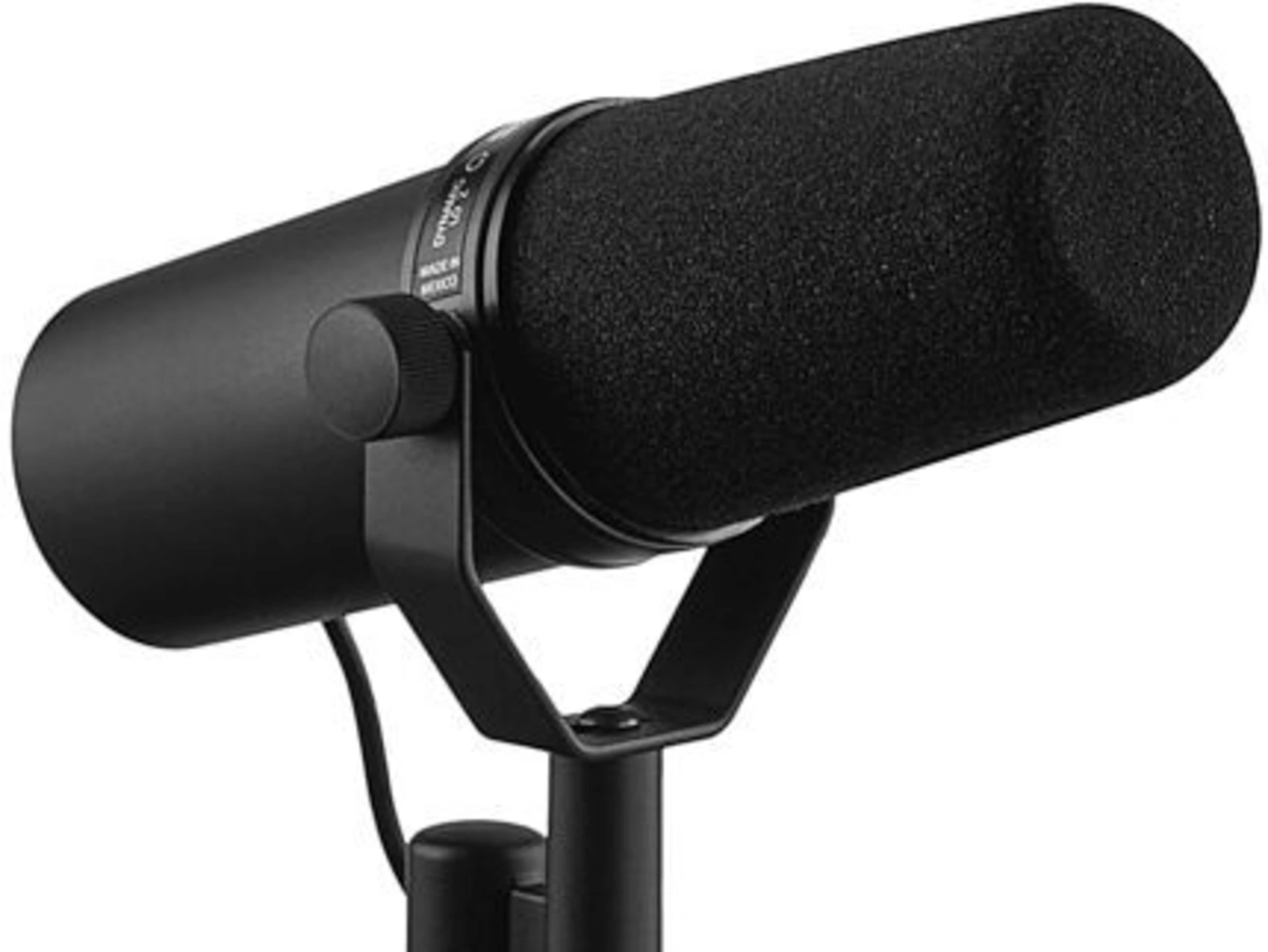 Standing Microphone (XLR Cable Included)