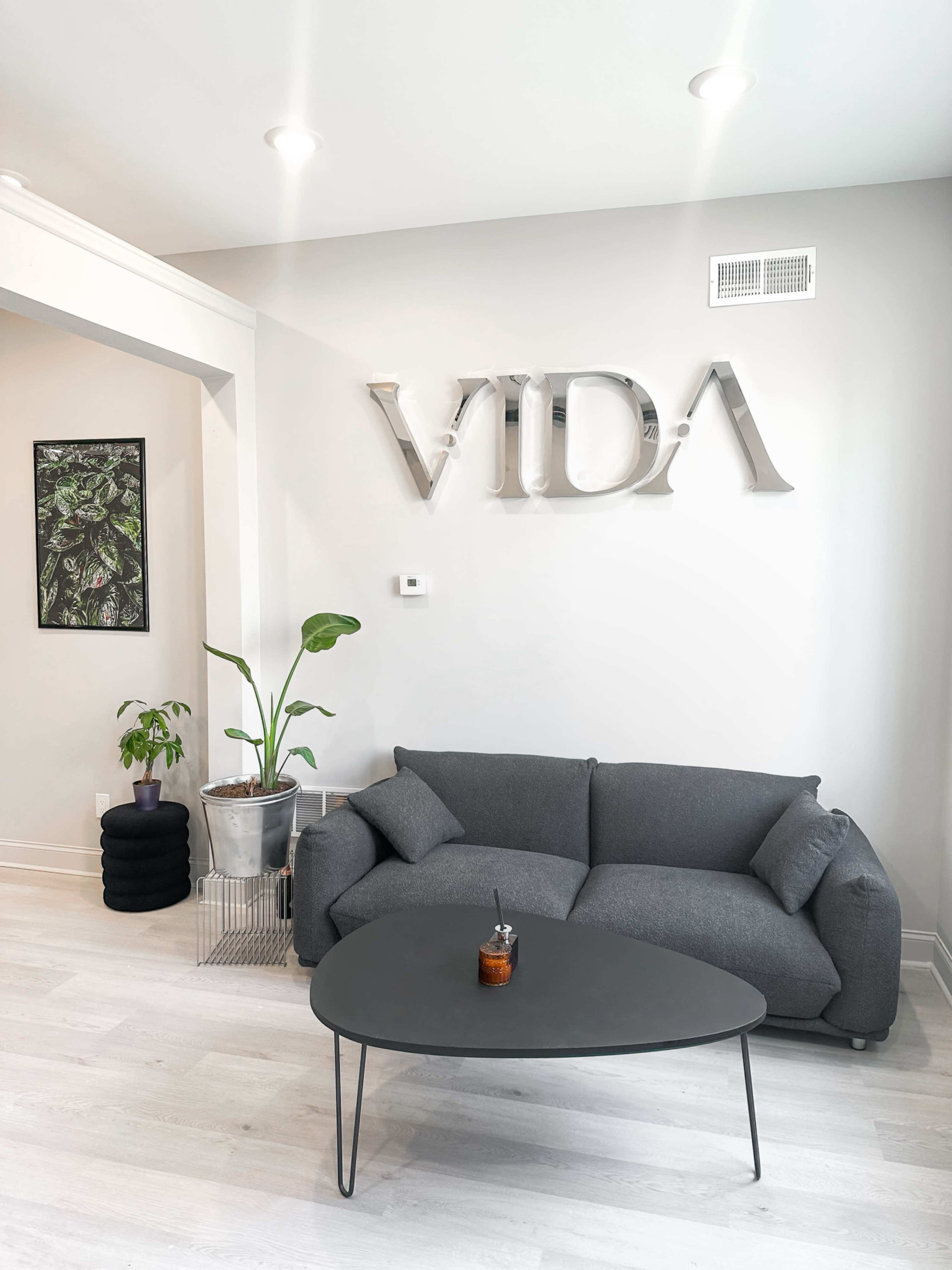The image shows a modern, minimalist living space featuring a gray sofa, a black coffee table, and a plant in a metallic pot, with a wall displaying the word "VIDA."