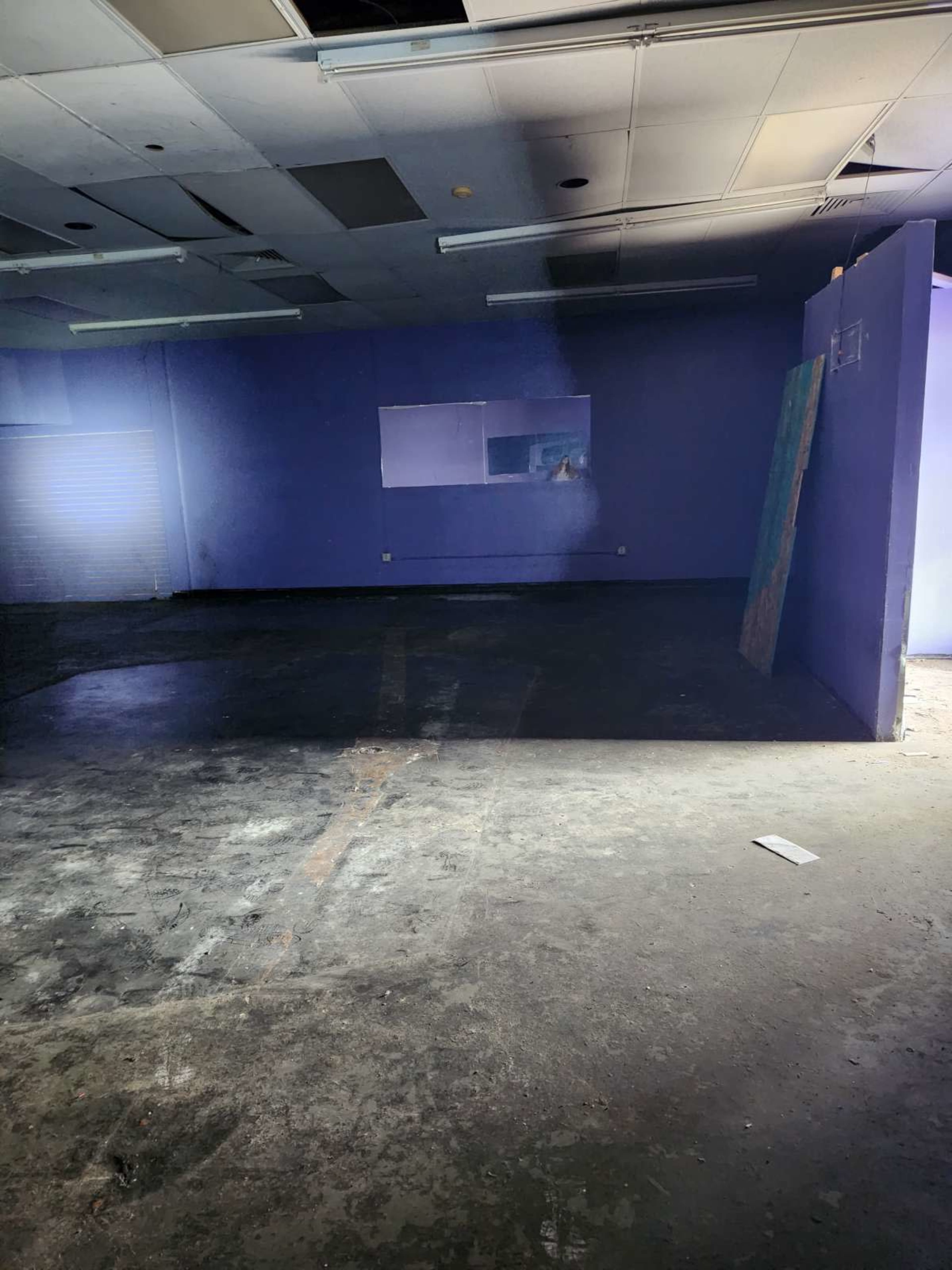 Central Austin creative studio Image in Windsor Park, Austin, TX