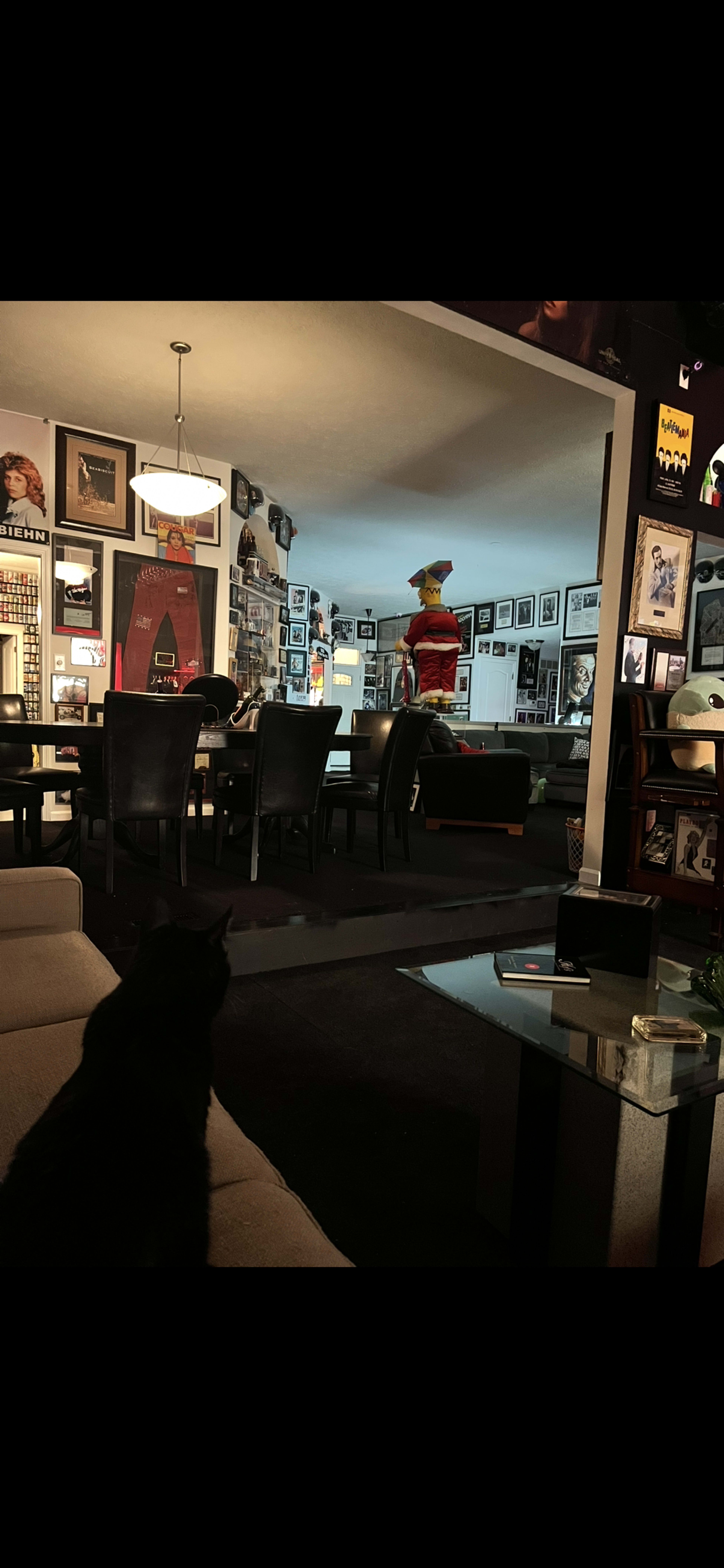 A black cat sits on a couch in the foreground, while a brightly dressed figure stands in a room filled with framed photographs and memorabilia.