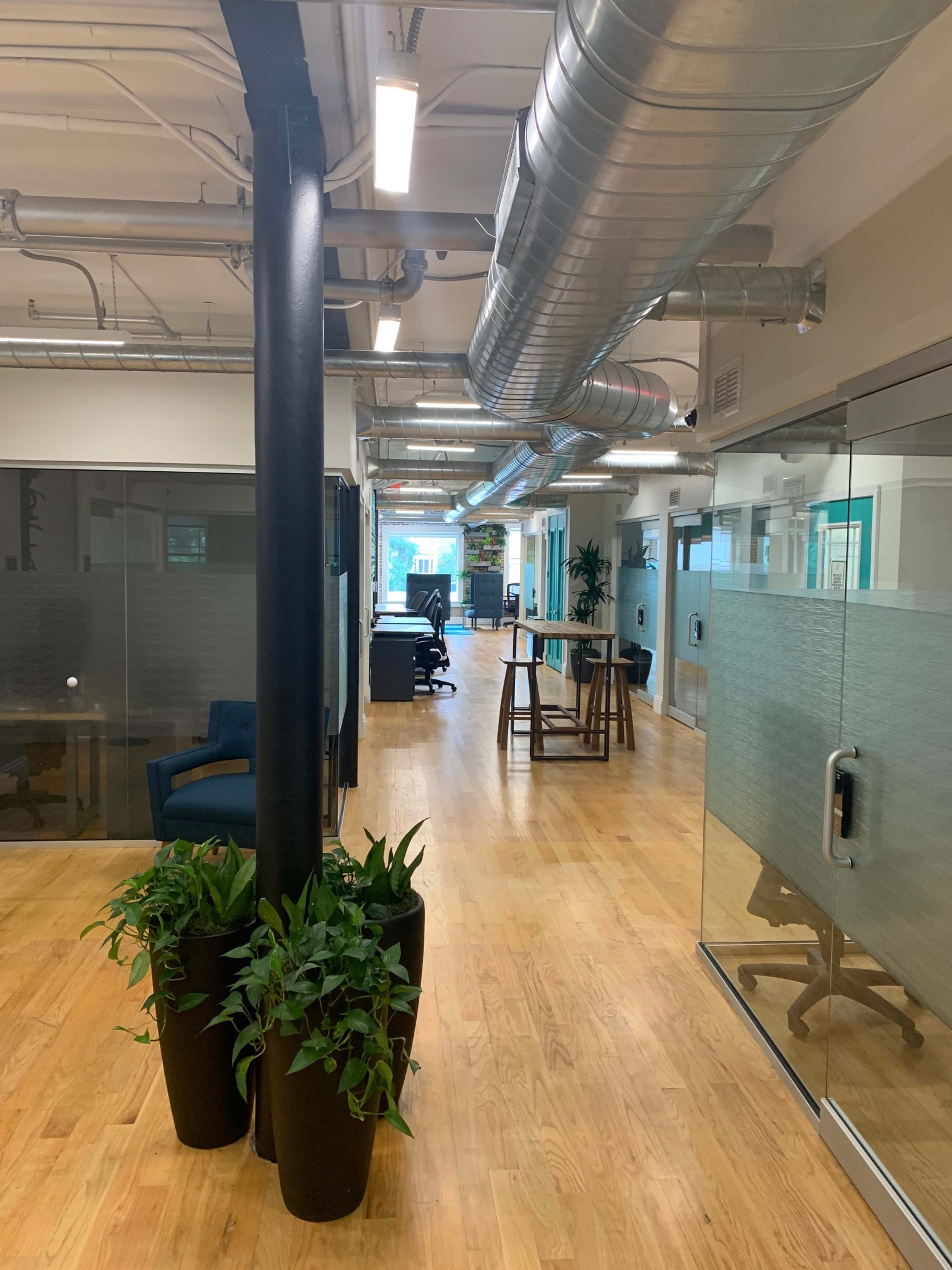 The image shows a modern office corridor with wooden flooring, large glass partitions, and greenery in planters.