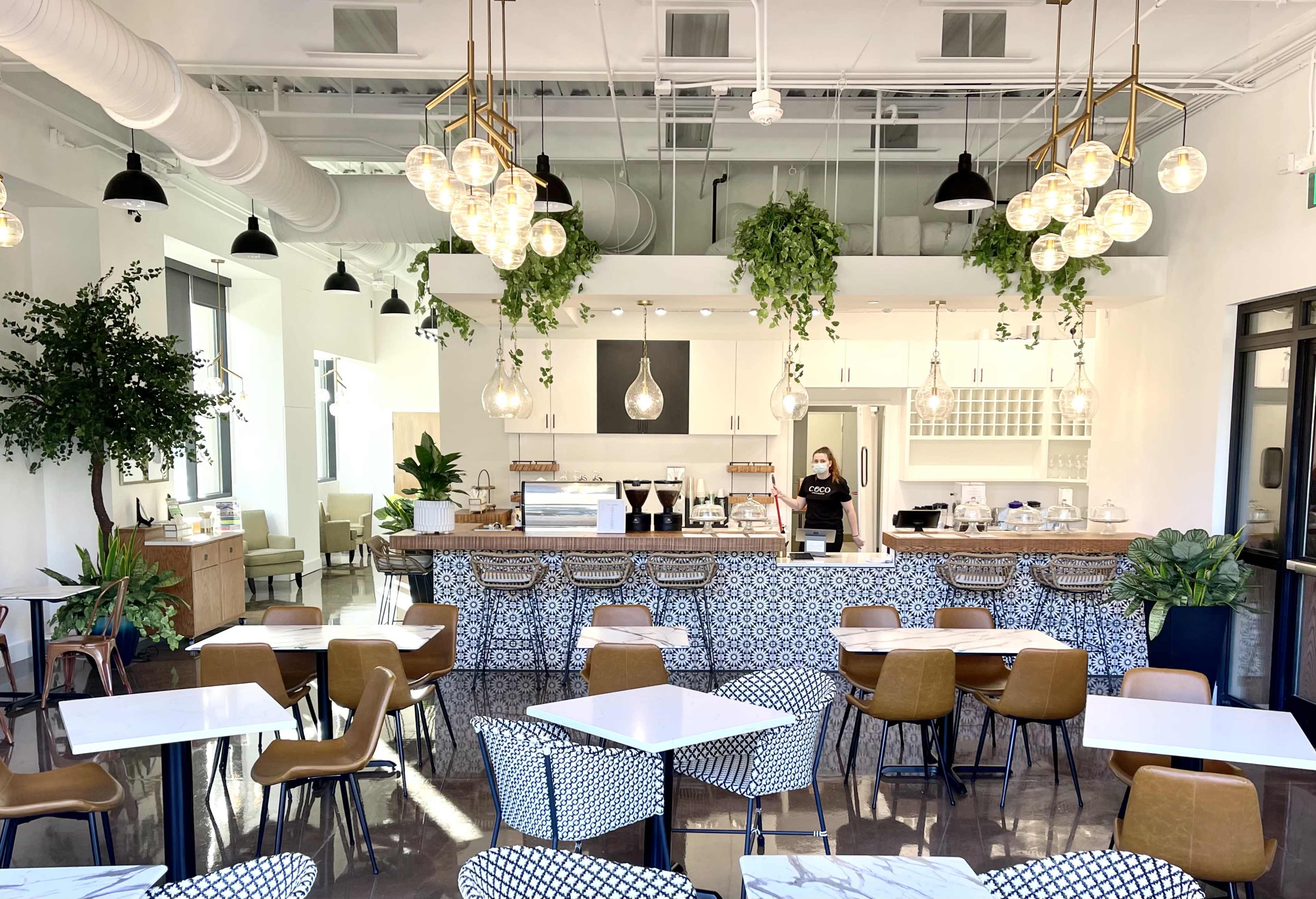 A modern café features a bright interior with a counter at the back, surrounded by various indoor plants and pendant lighting.