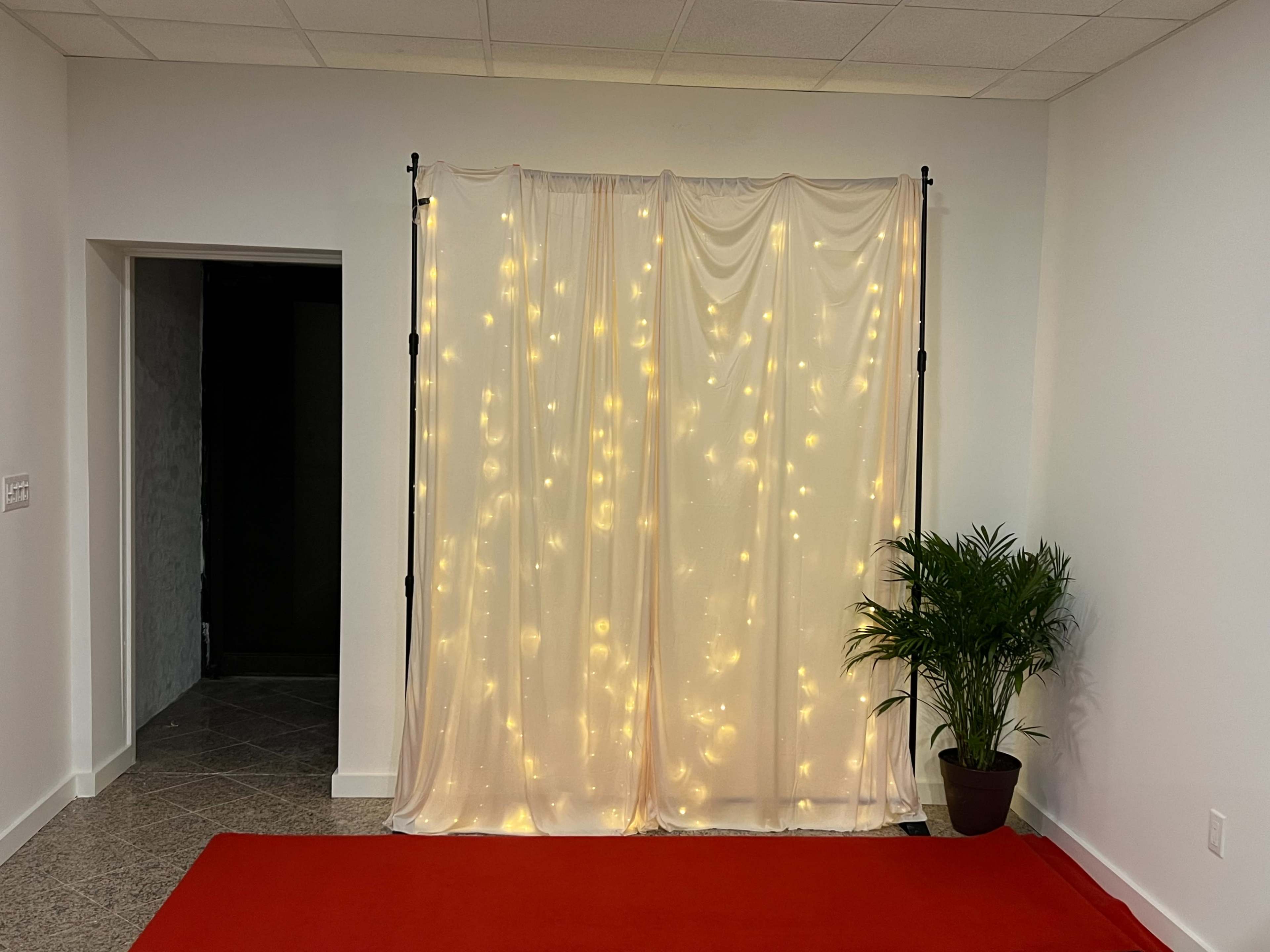 The image shows a corner of a room with a red carpet leading to a backdrop of draped fabric adorned with string lights, next to a potted plant.