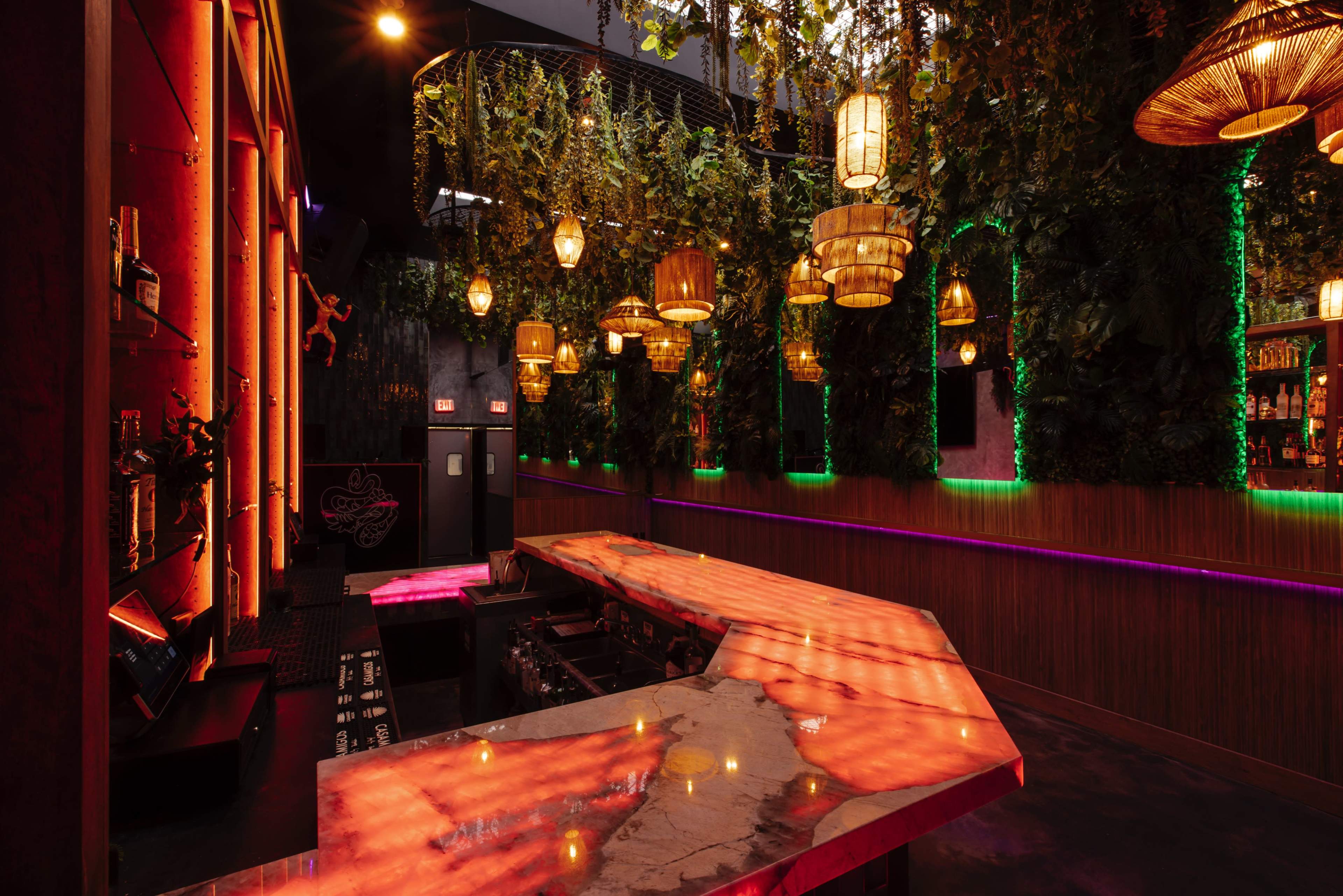 A dimly lit bar interior adorned with hanging plants and decorative lanterns, featuring a curved marble countertop illuminated by colorful lights.