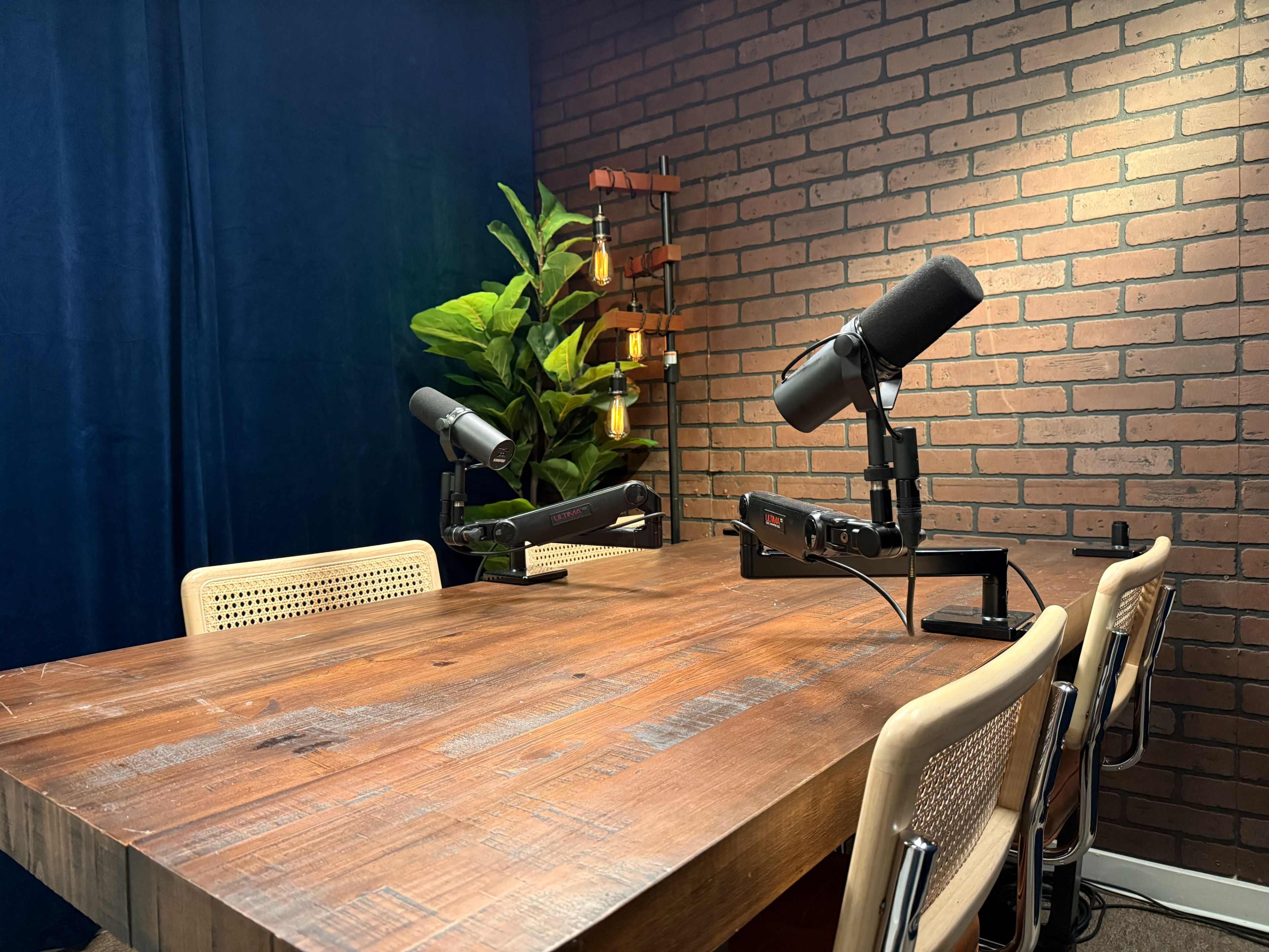 The image shows a well-lit room featuring a wooden table surrounded by chairs, with two microphones mounted on stands and a potted plant in the background.