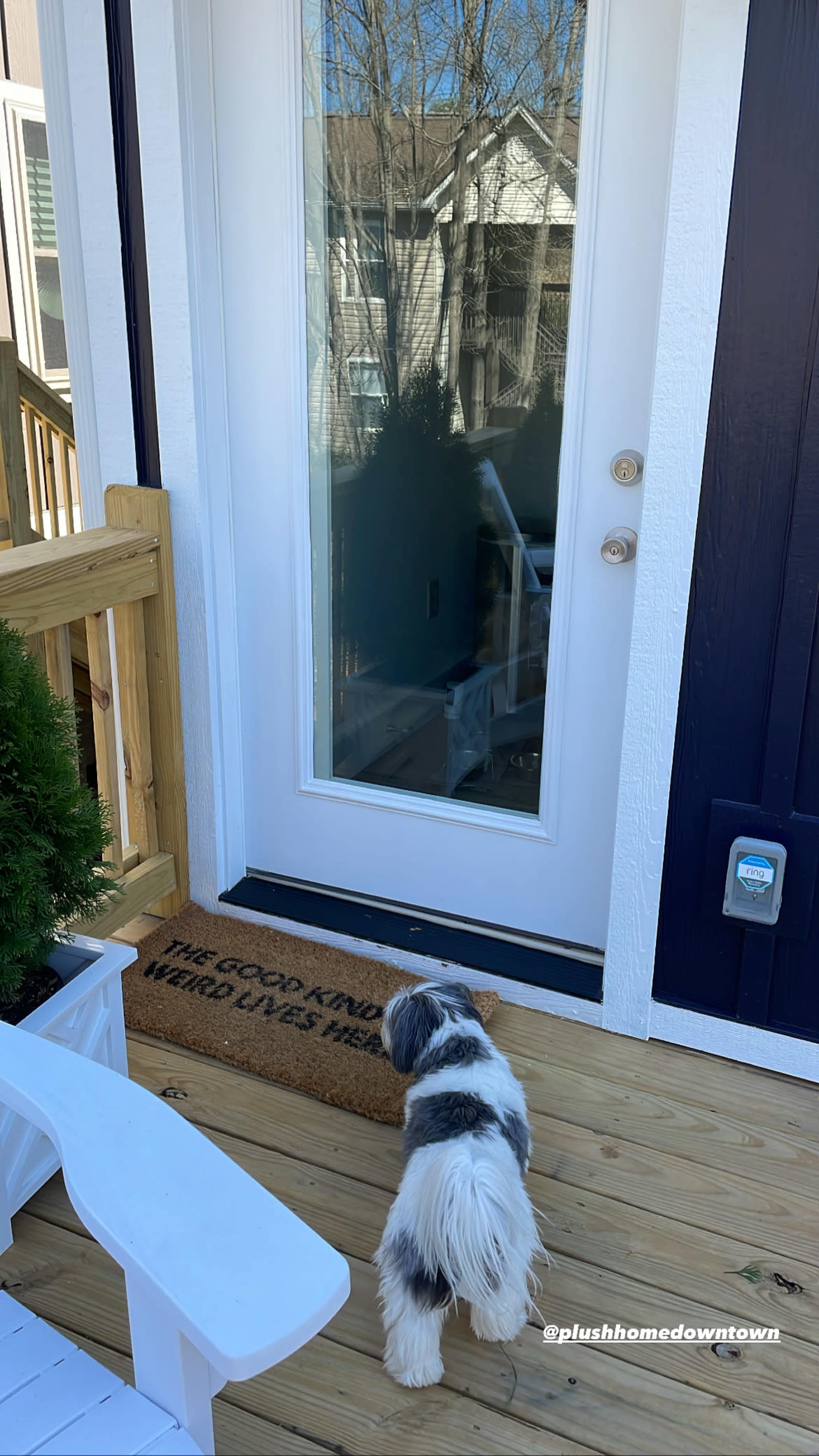 A small dog stands at a glass door in front of a welcome mat on a wooden porch.
