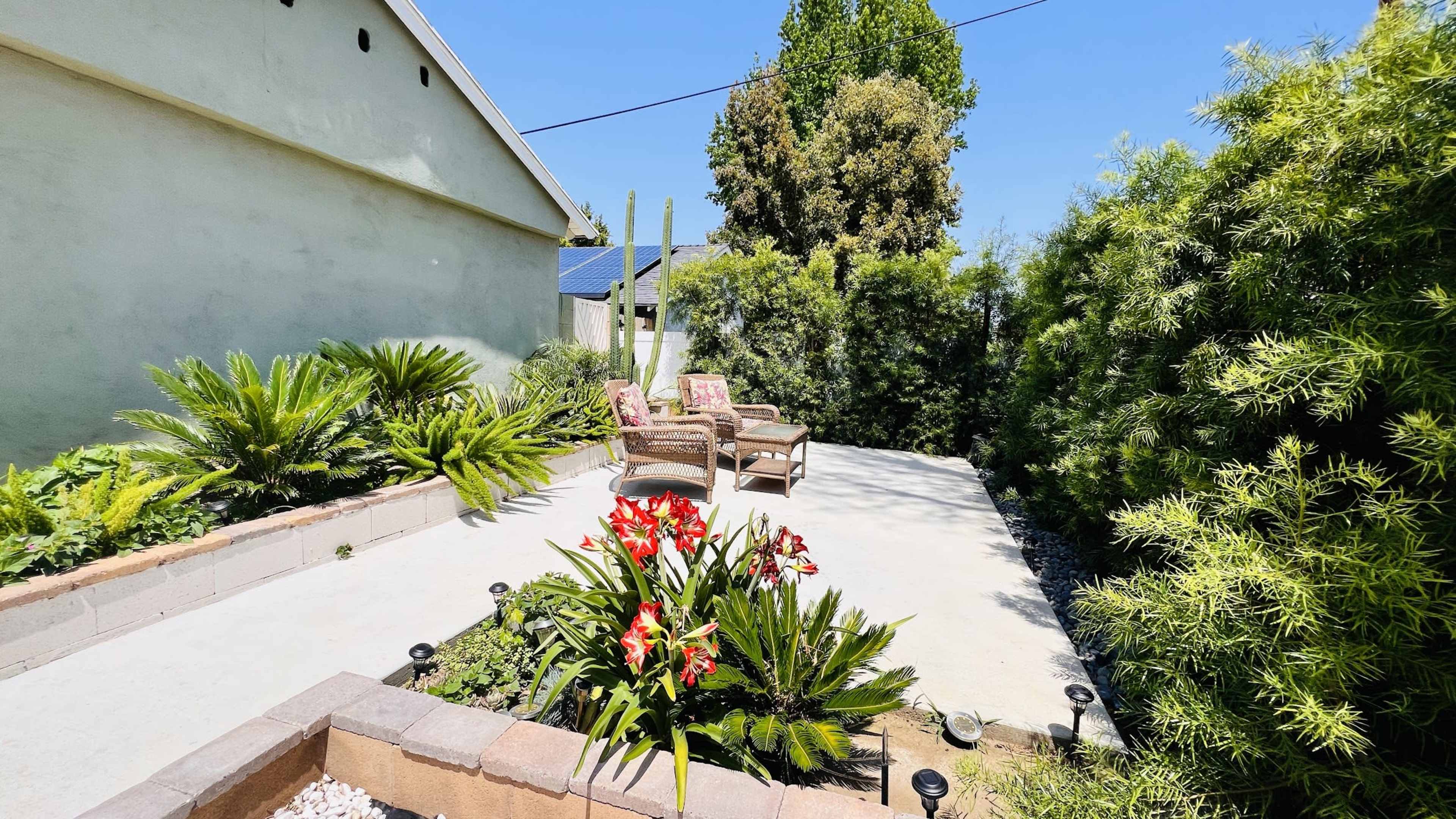 The image shows a landscaped outdoor area with a concrete patio, surrounded by various plants, including ferns and flowering plants, along with two chairs set on the patio.