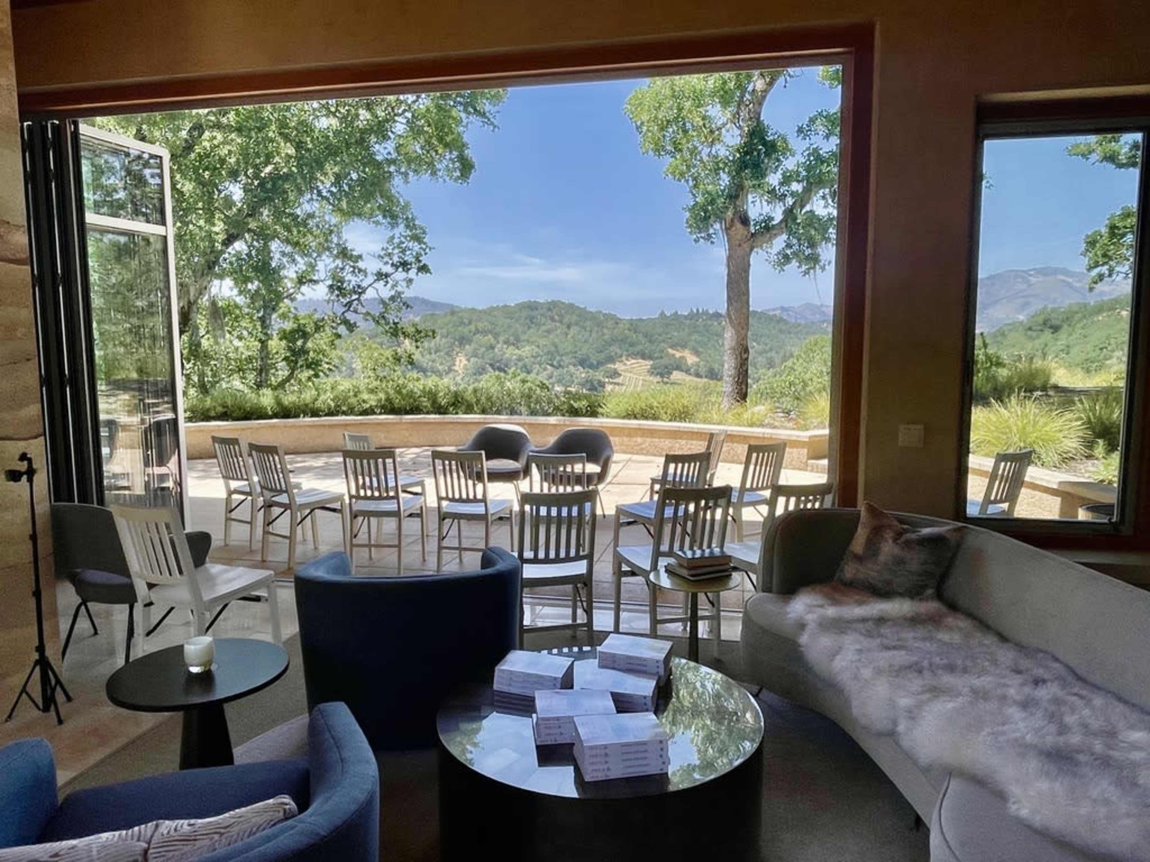 A spacious lounge area features modern seating arrangements and large windows with a view of a green landscape, including trees and distant hills.