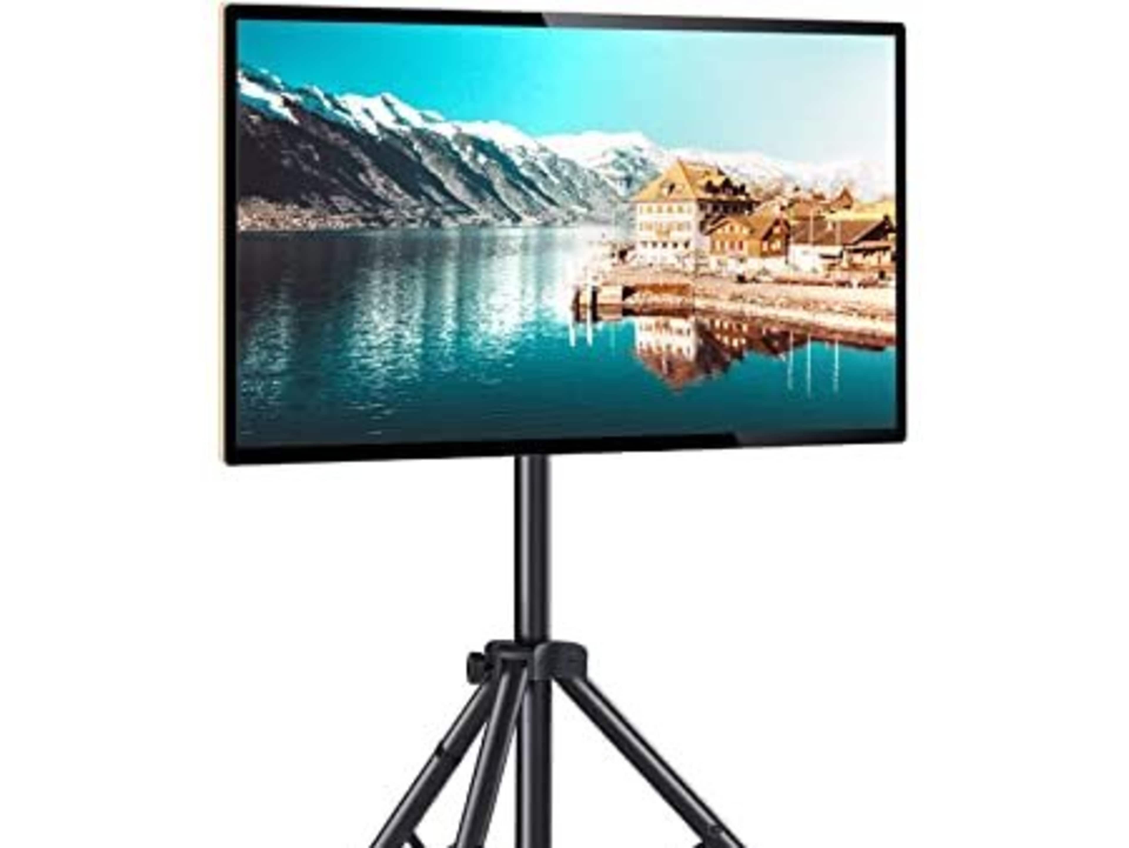 TV Screen / Monitor (for presentation)