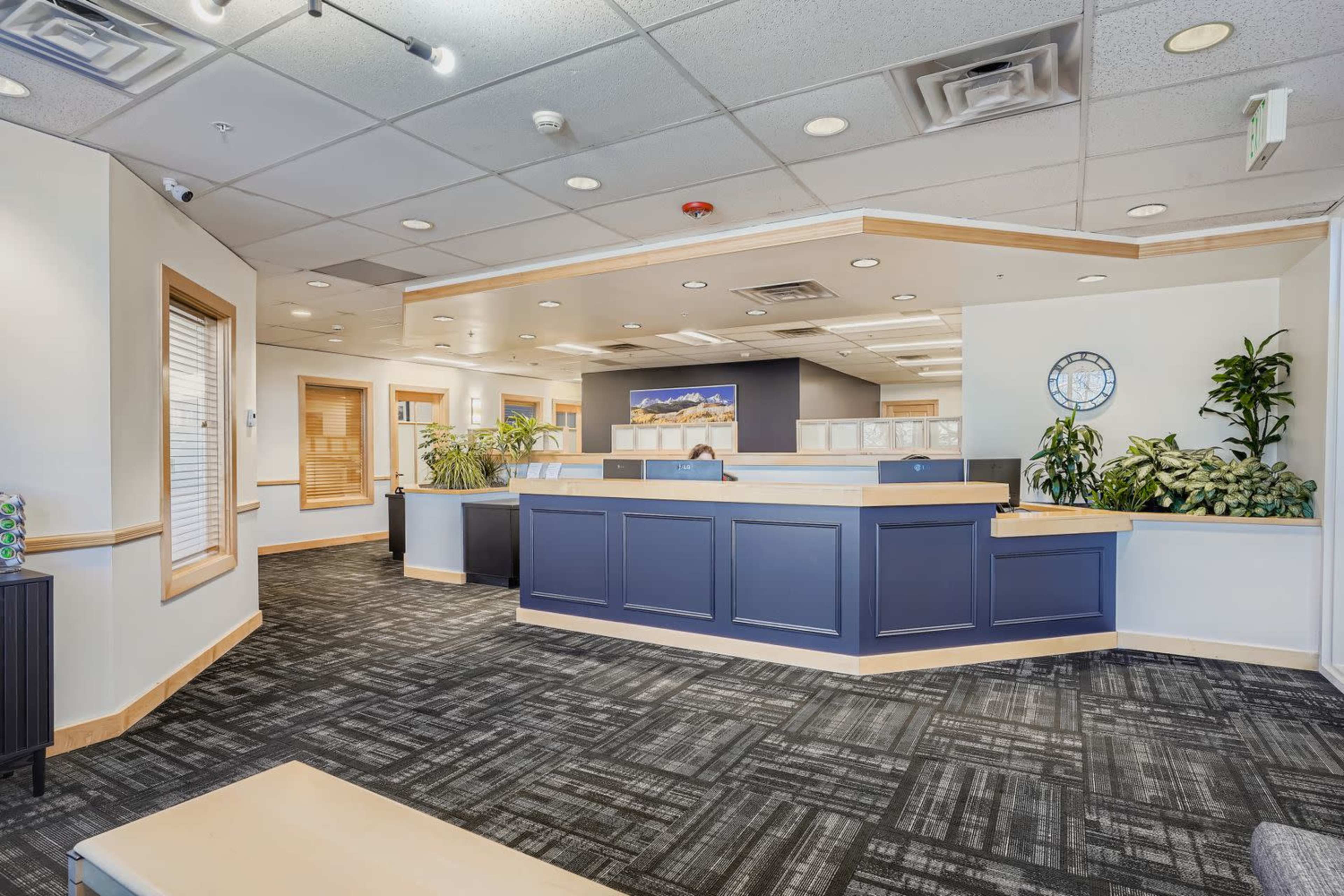 The image shows a modern, open reception area with a front desk and several plants, featuring carpeted flooring and natural light from windows.