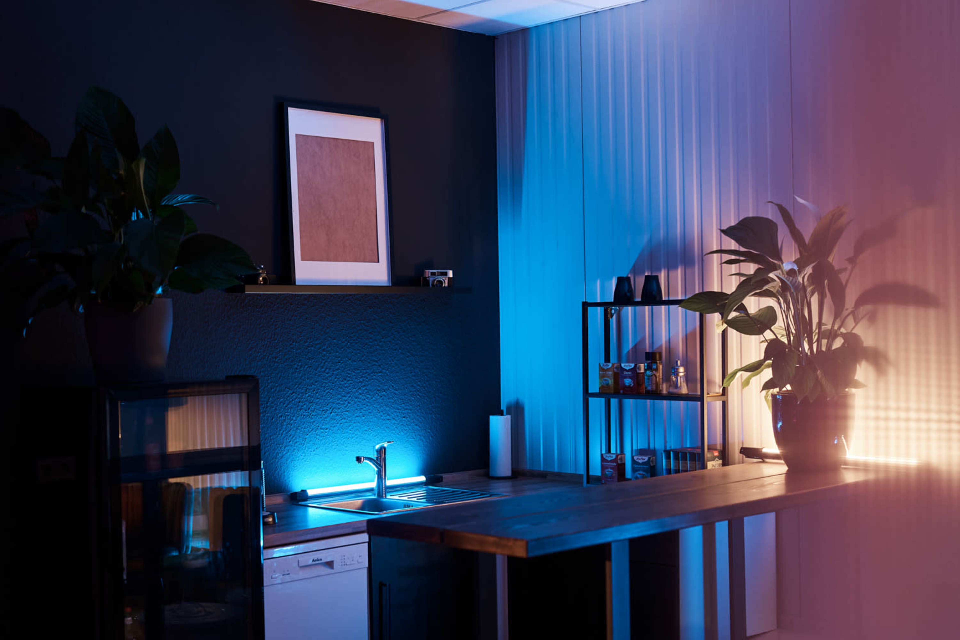 The image depicts a modern kitchen with a dark wall, illuminated shelves with plants, and subtle lighting effects on the counter.