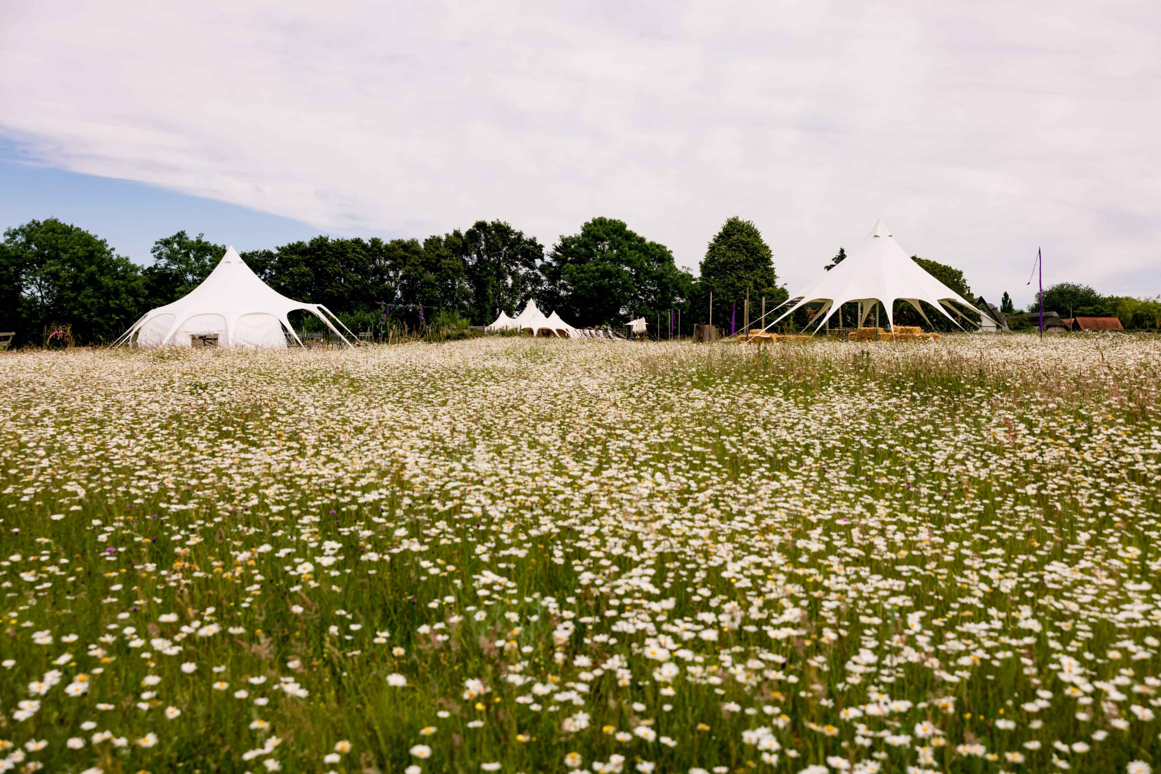 Large white tents set up in a field filled with blooming wildflowers under a cloudy sky.